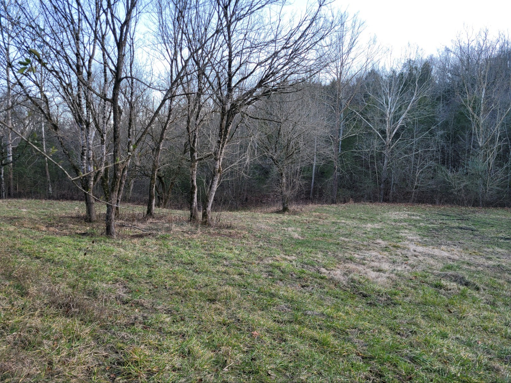 0 Hannah Br Rd Property Photo 9