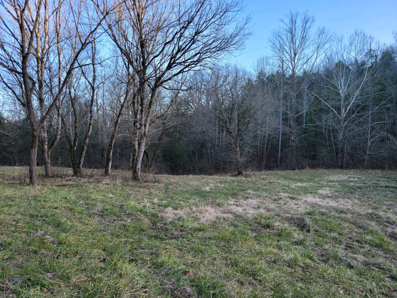 0 Hannah Br Rd Property Photo 11