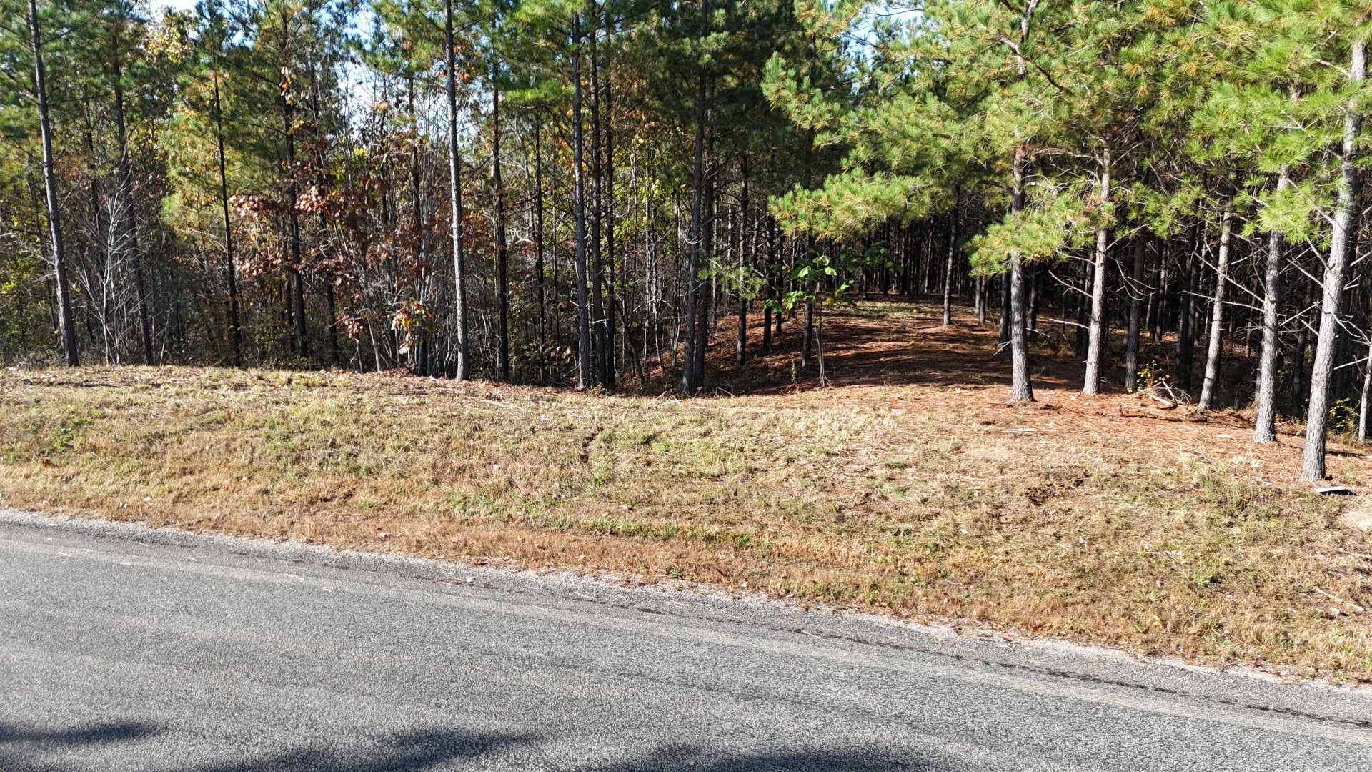 3020 Mcgee Rd Property Photo 3