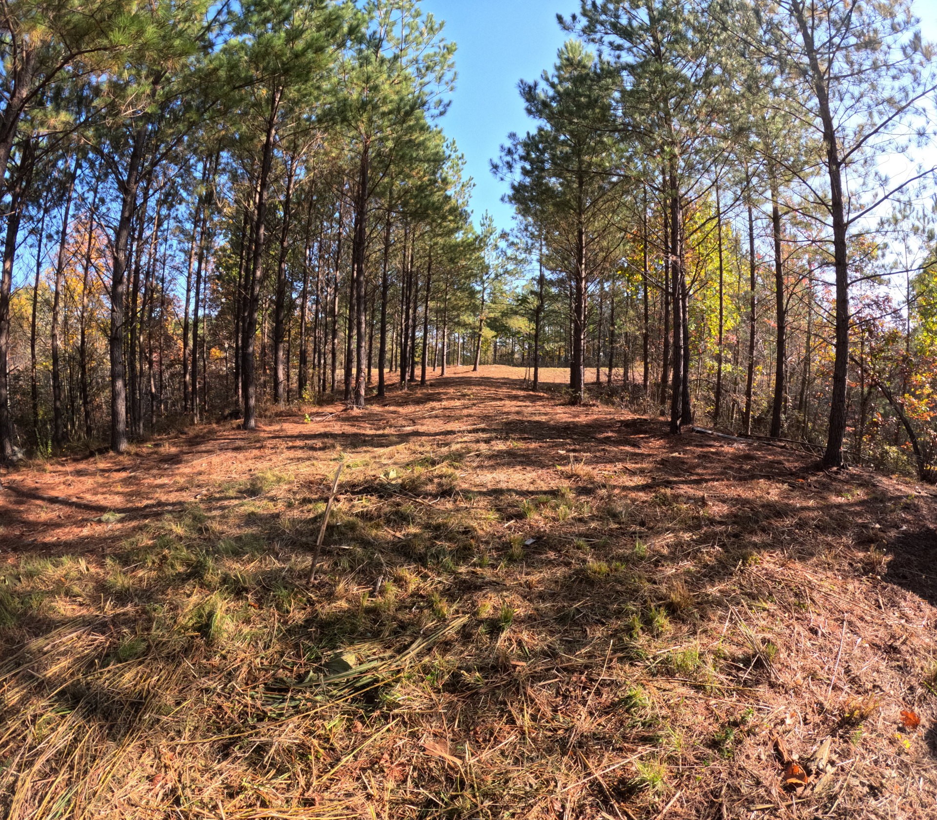 3020 Mcgee Rd Property Photo 9