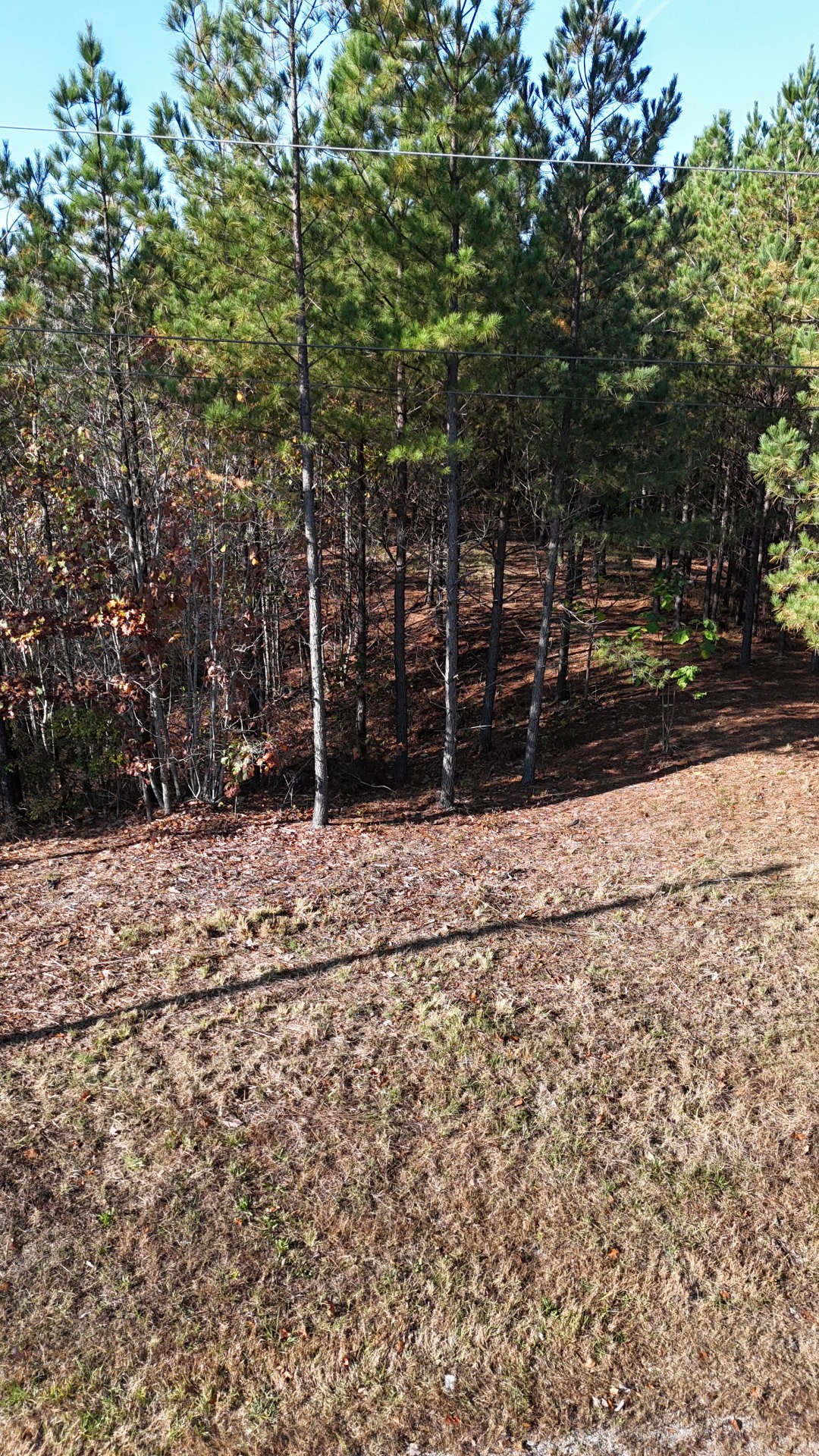 3020 Mcgee Rd Property Photo 13