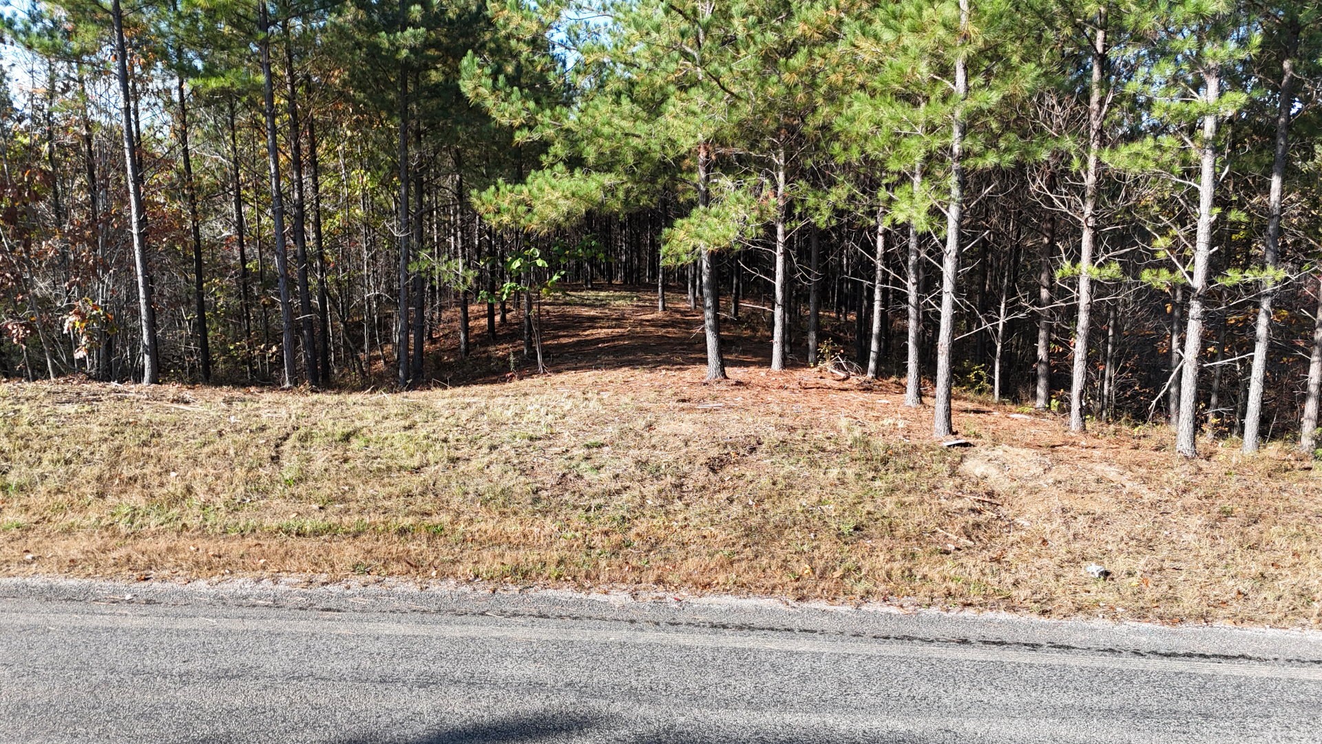 3020 Mcgee Rd Property Photo 15