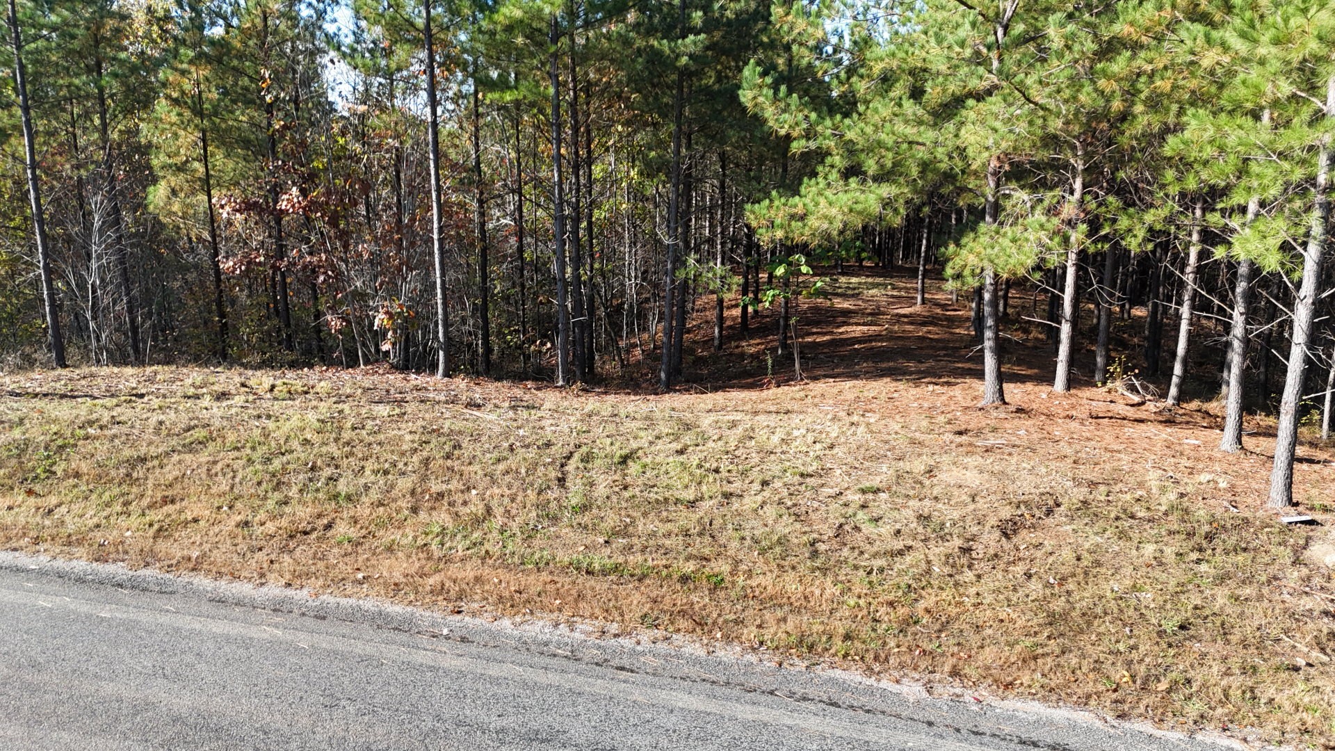 3020 Mcgee Rd Property Photo 17