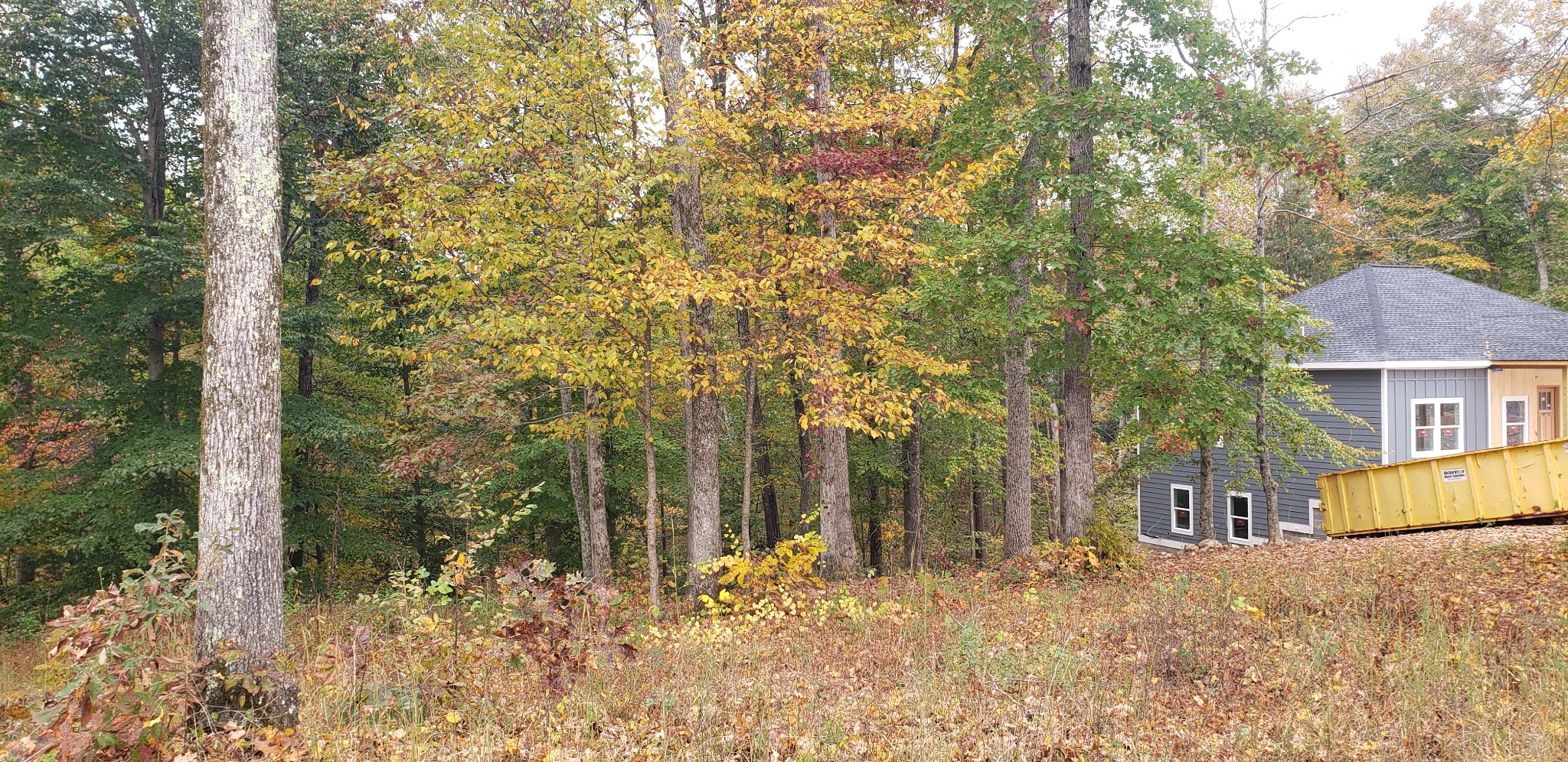 108 Devils Backbone Road Property Photo 5