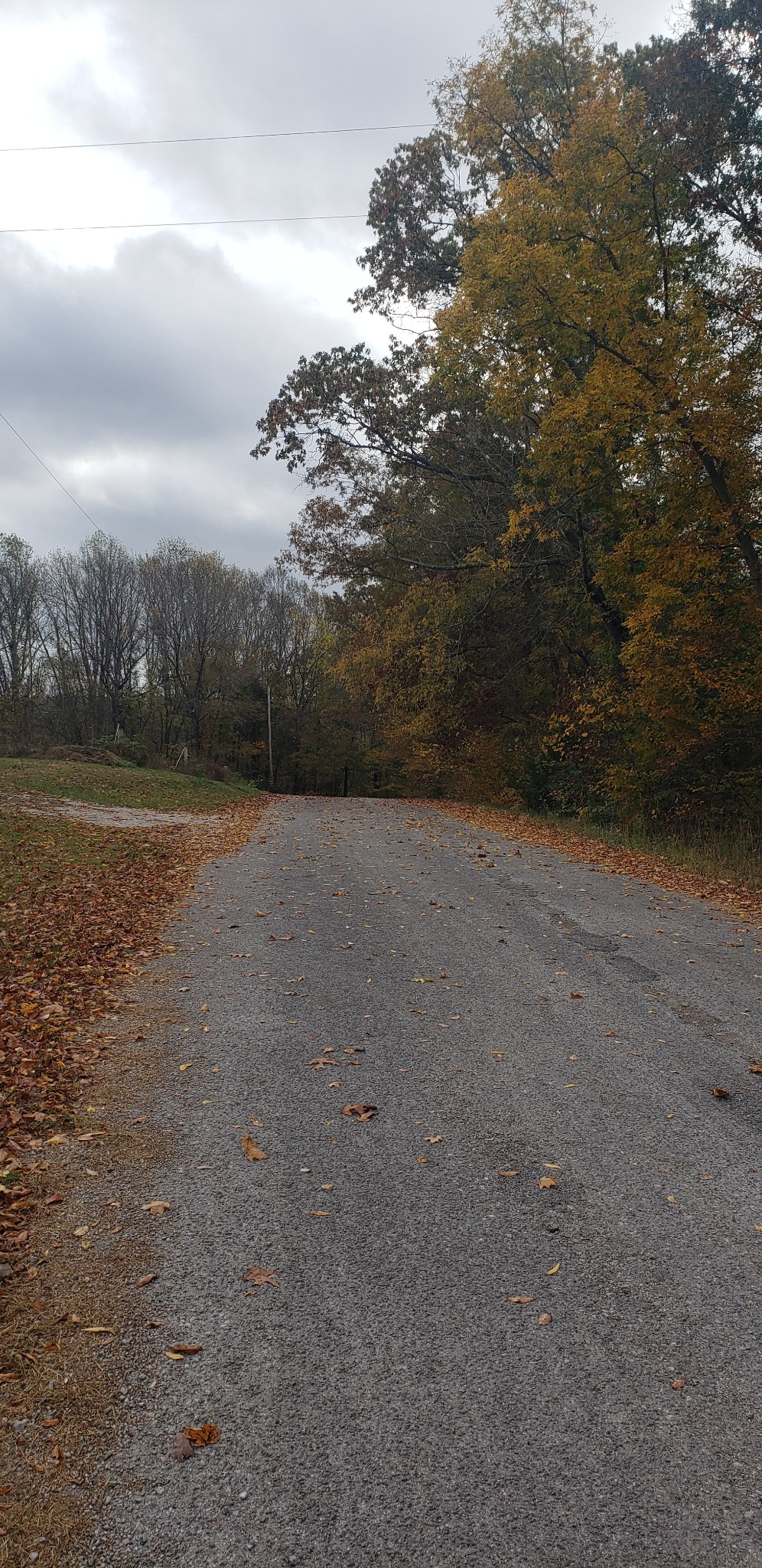 108 Devils Backbone Road Property Photo 6