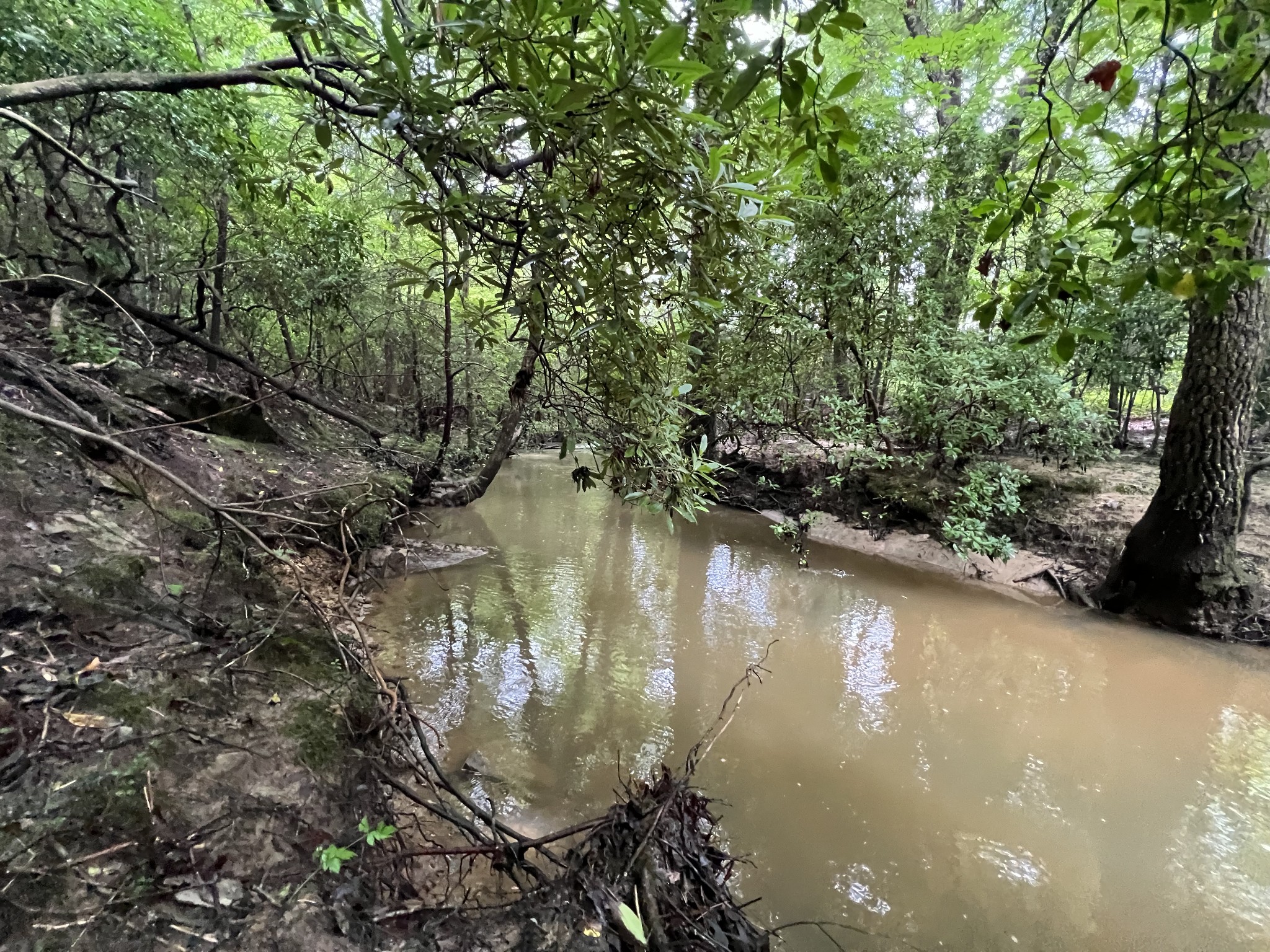 0 Coal Road Property Photo 1