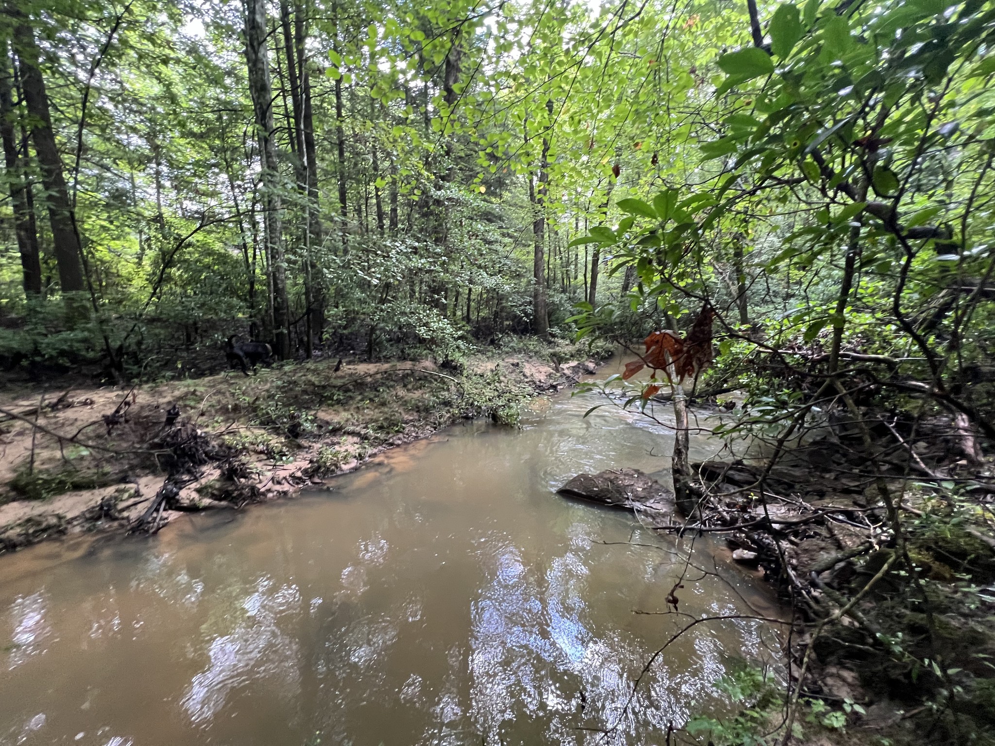 0 Coal Road Property Photo 2