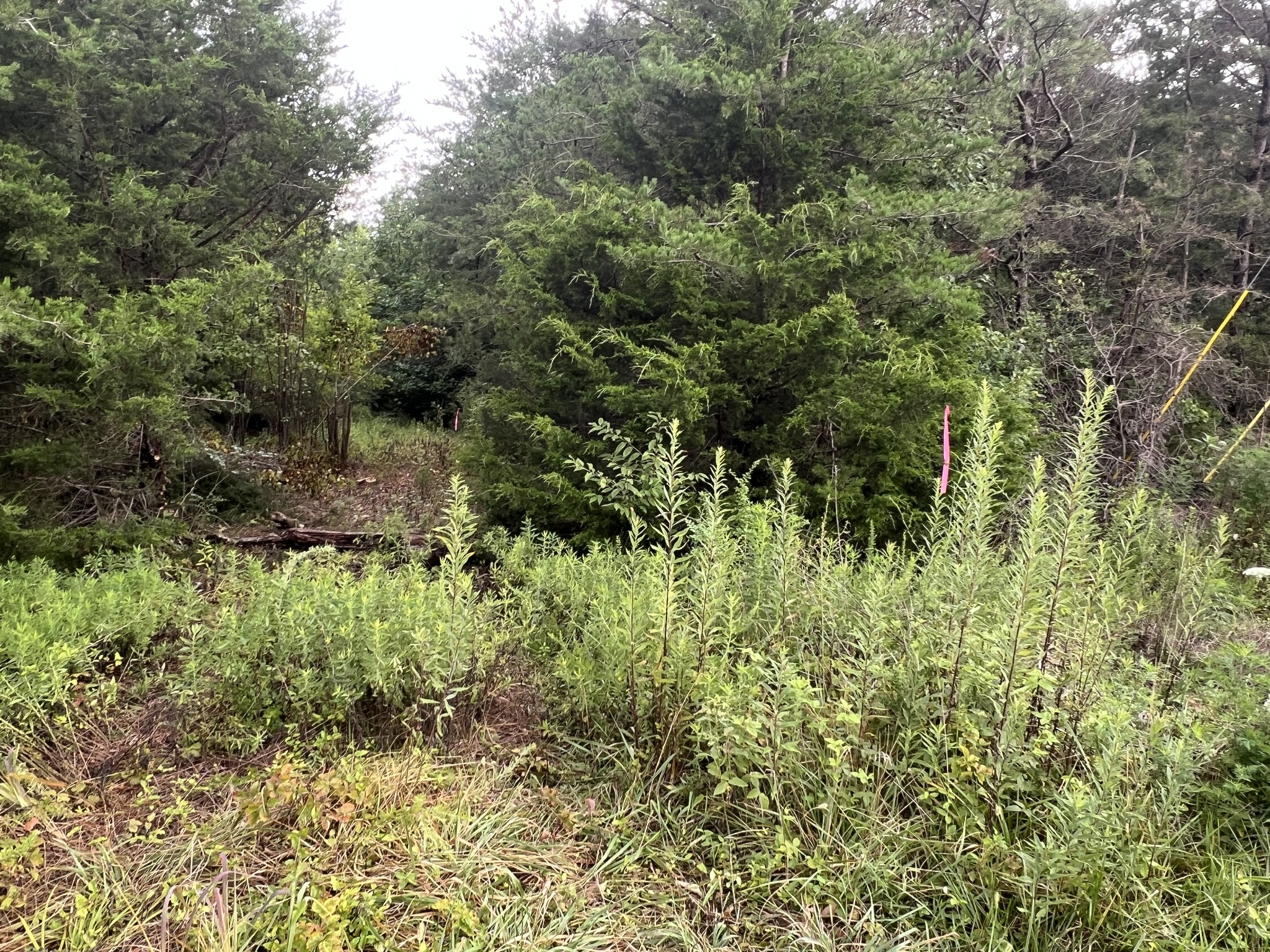 0 Coal Road Property Photo 9