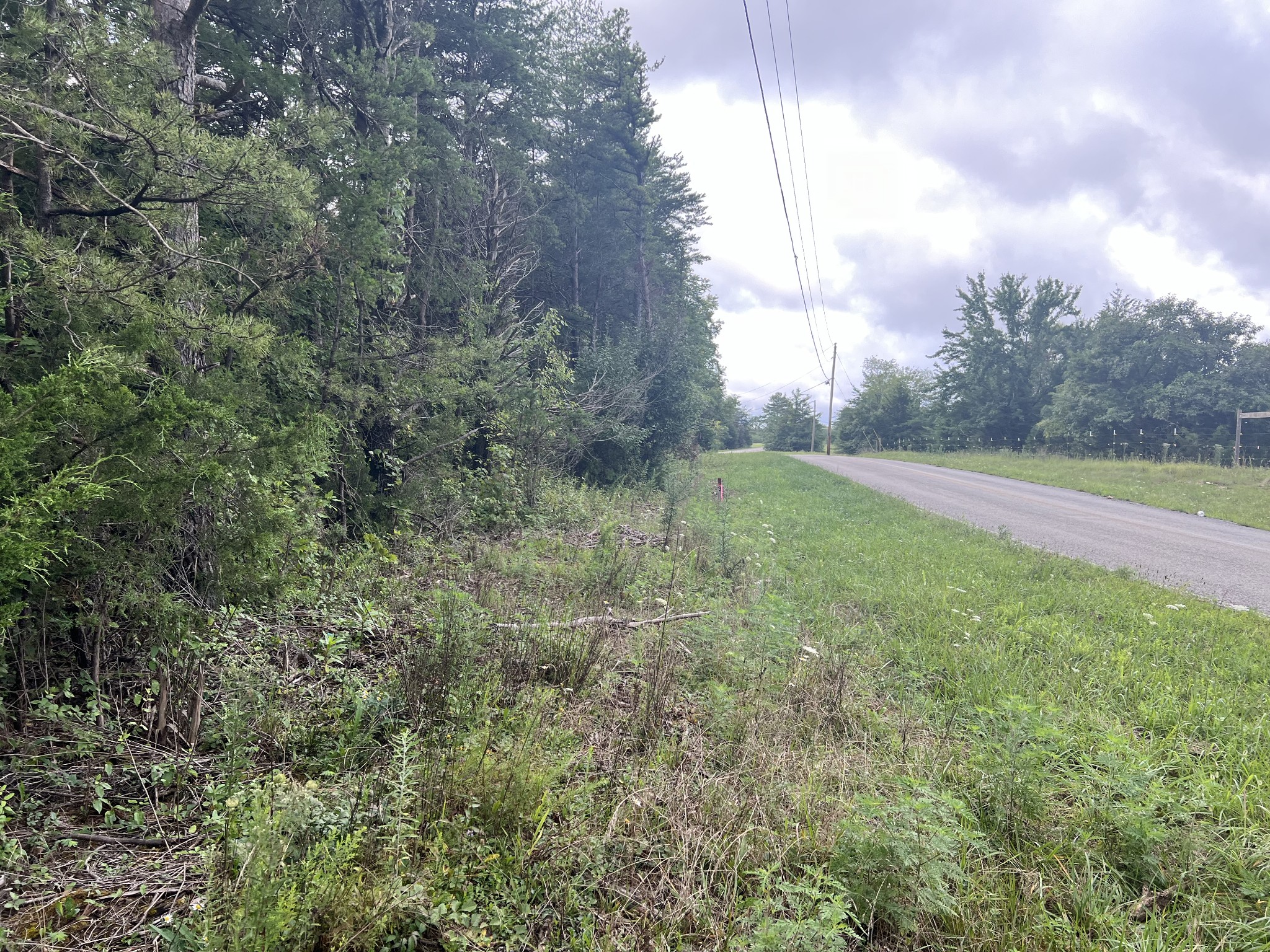 0 Coal Road Property Photo 16