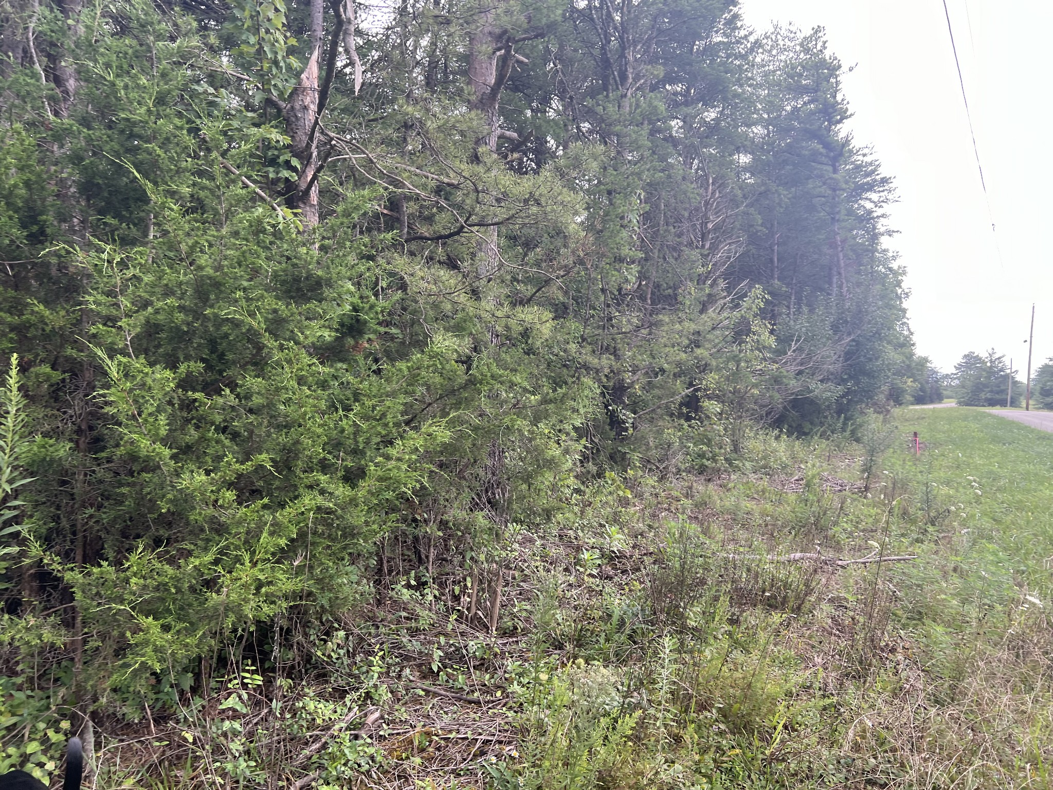 0 Coal Road Property Photo 17