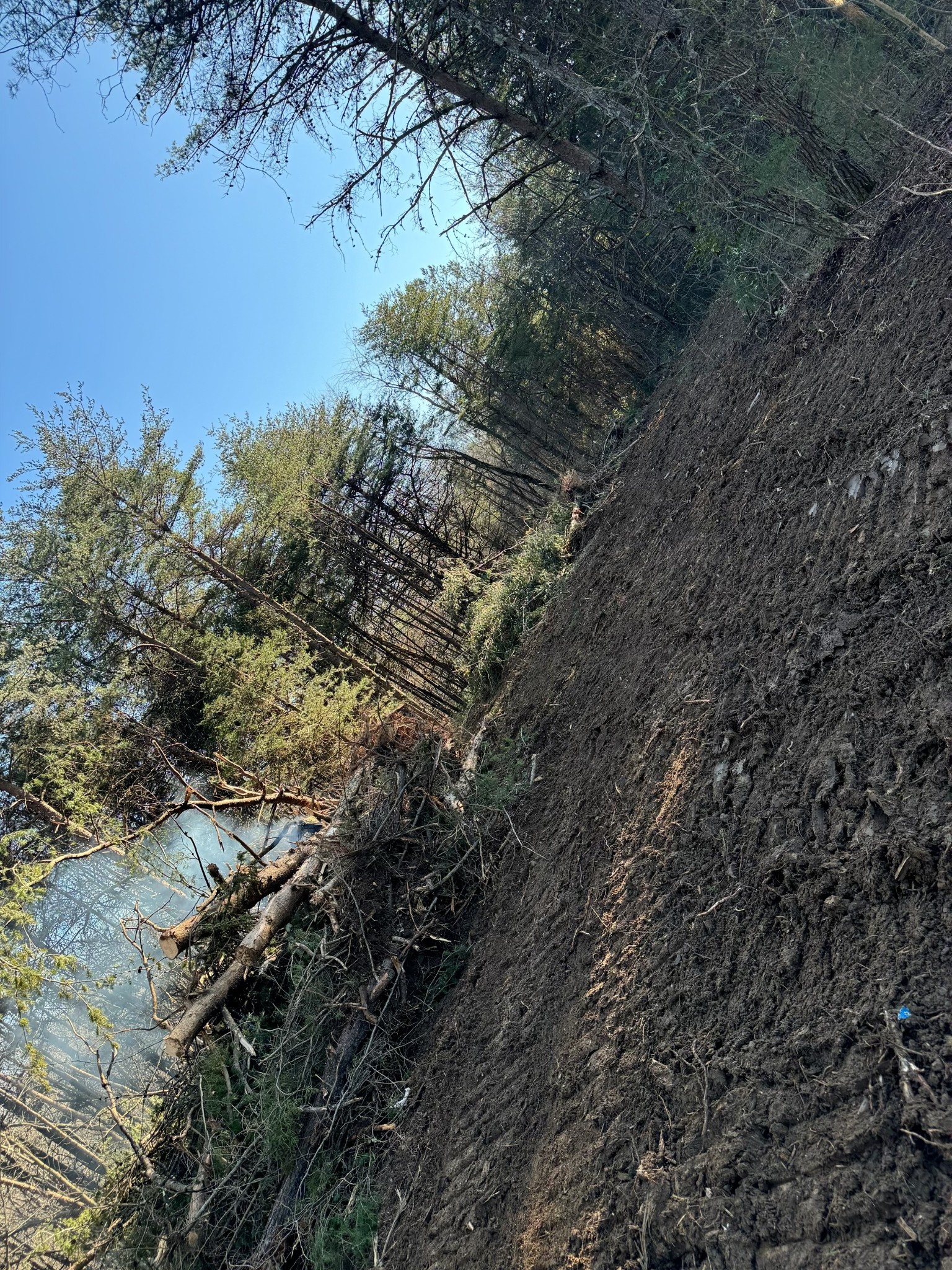 0 Coal Road Property Photo 27