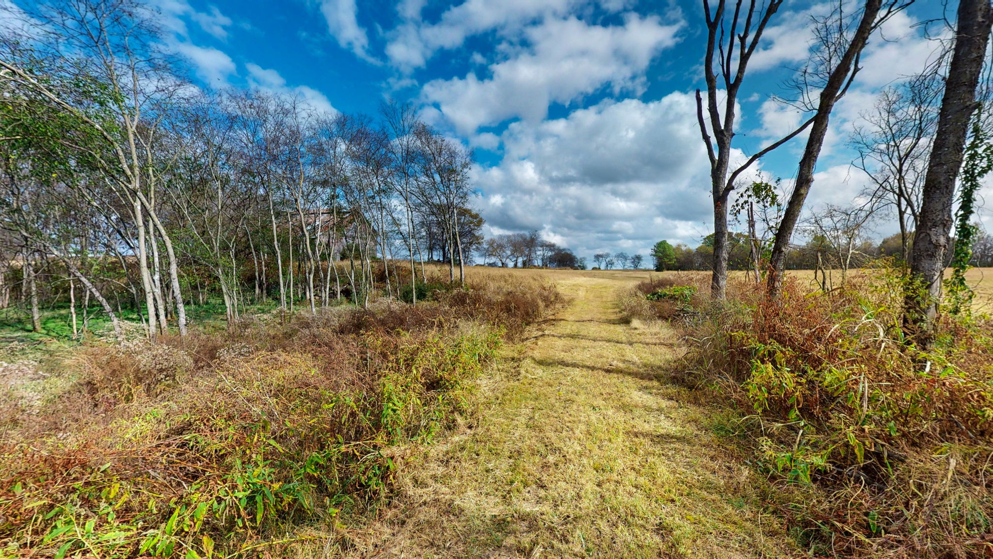 2736 Hartsville Pike Property Photo 4