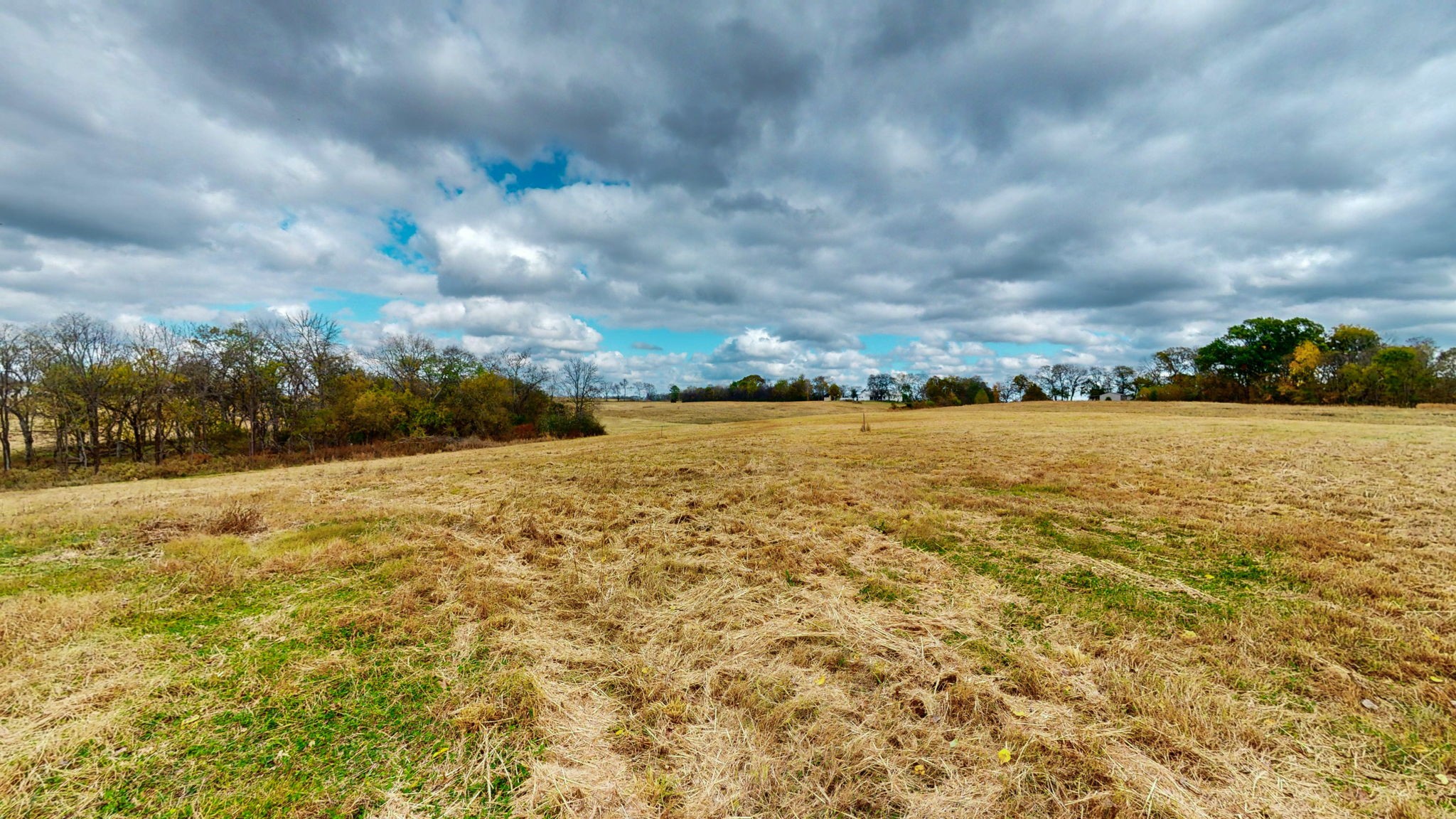 2736 Hartsville Pike Property Photo 8
