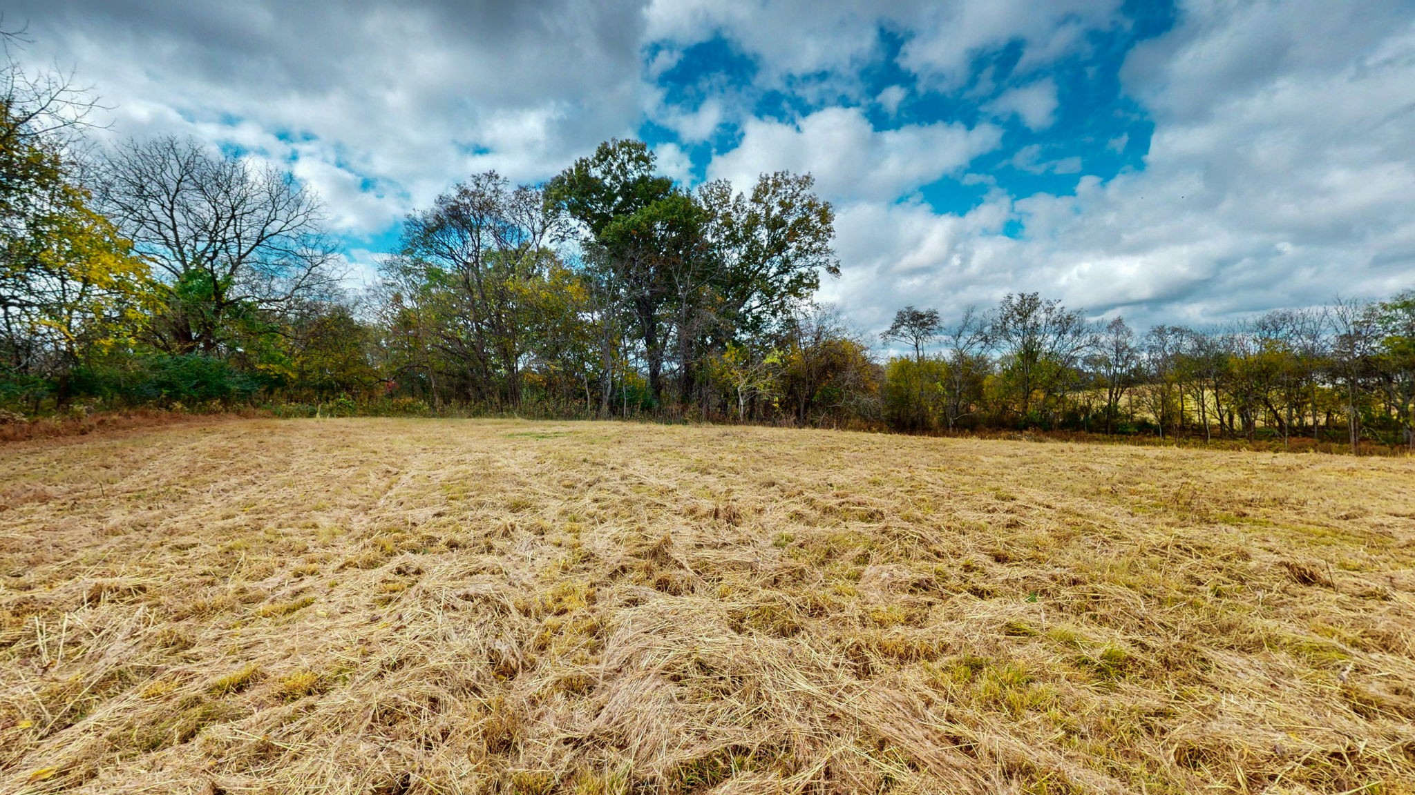 2736 Hartsville Pike Property Photo 9
