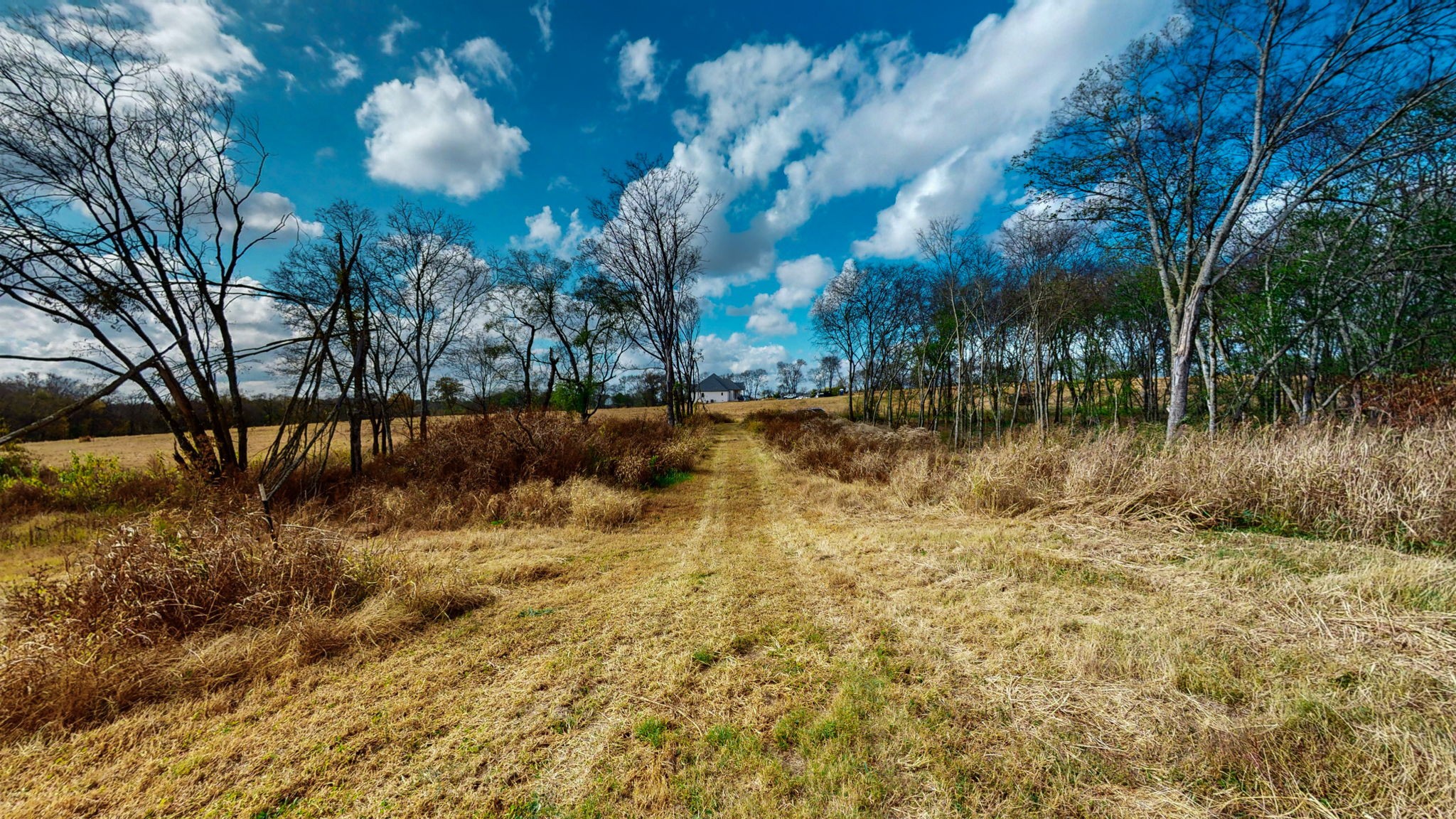 2736 Hartsville Pike Property Photo 10