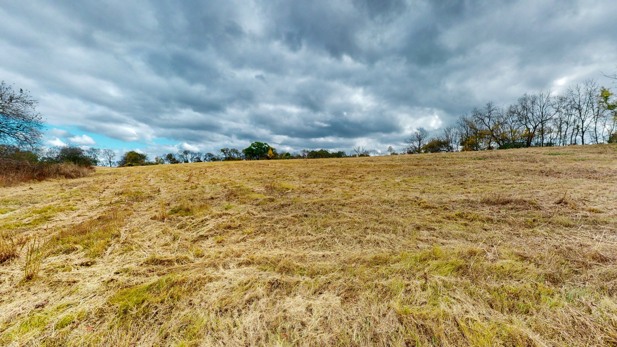 2736 Hartsville Pike Property Photo 11