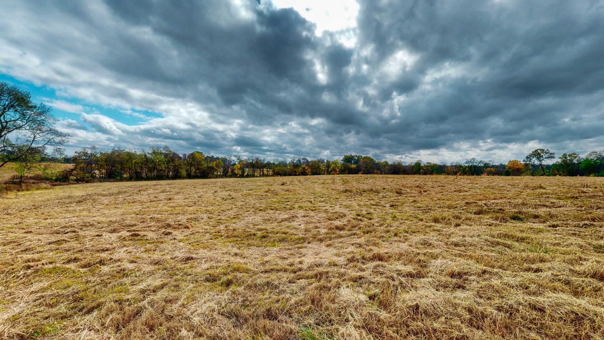 2736 Hartsville Pike Property Photo 12
