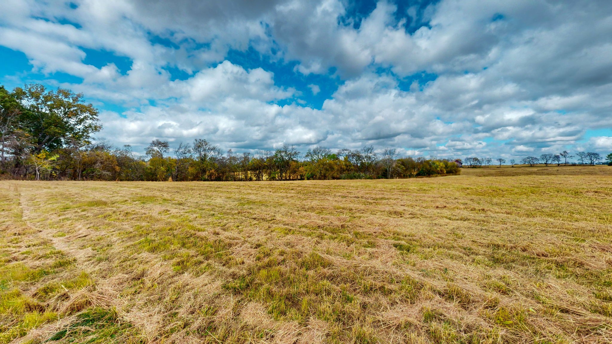 2736 Hartsville Pike Property Photo 15
