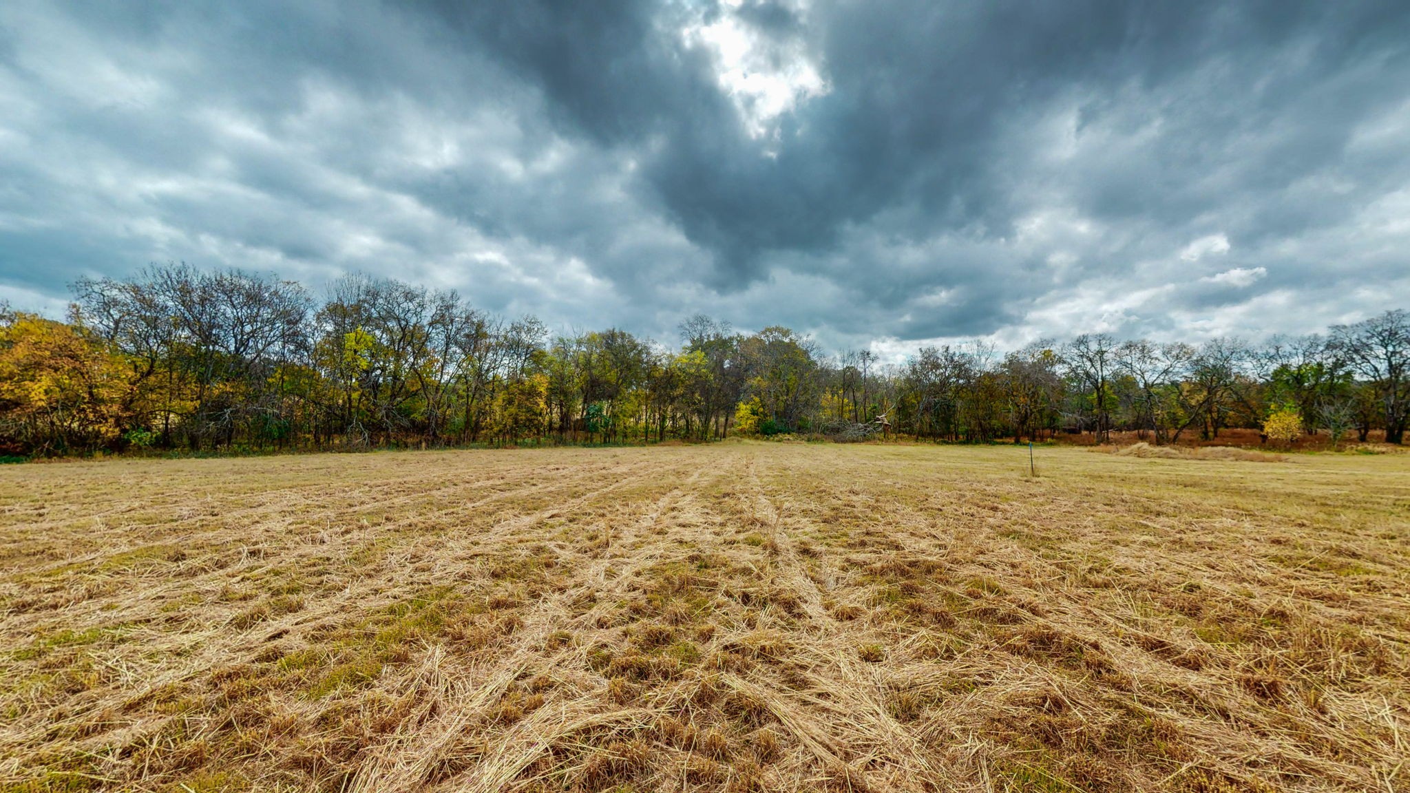 2736 Hartsville Pike Property Photo 16