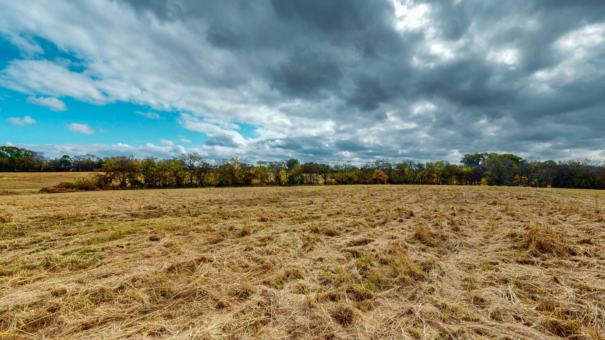 2736 Hartsville Pike Property Photo 17