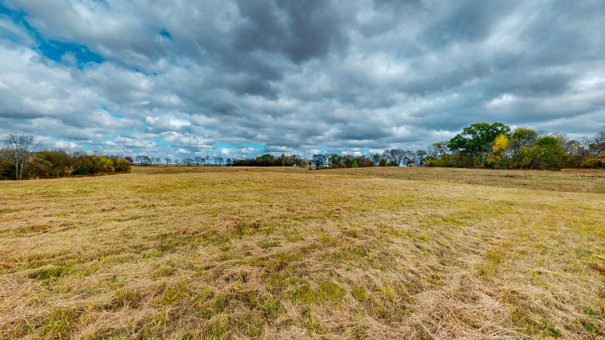 2736 Hartsville Pike Property Photo 18