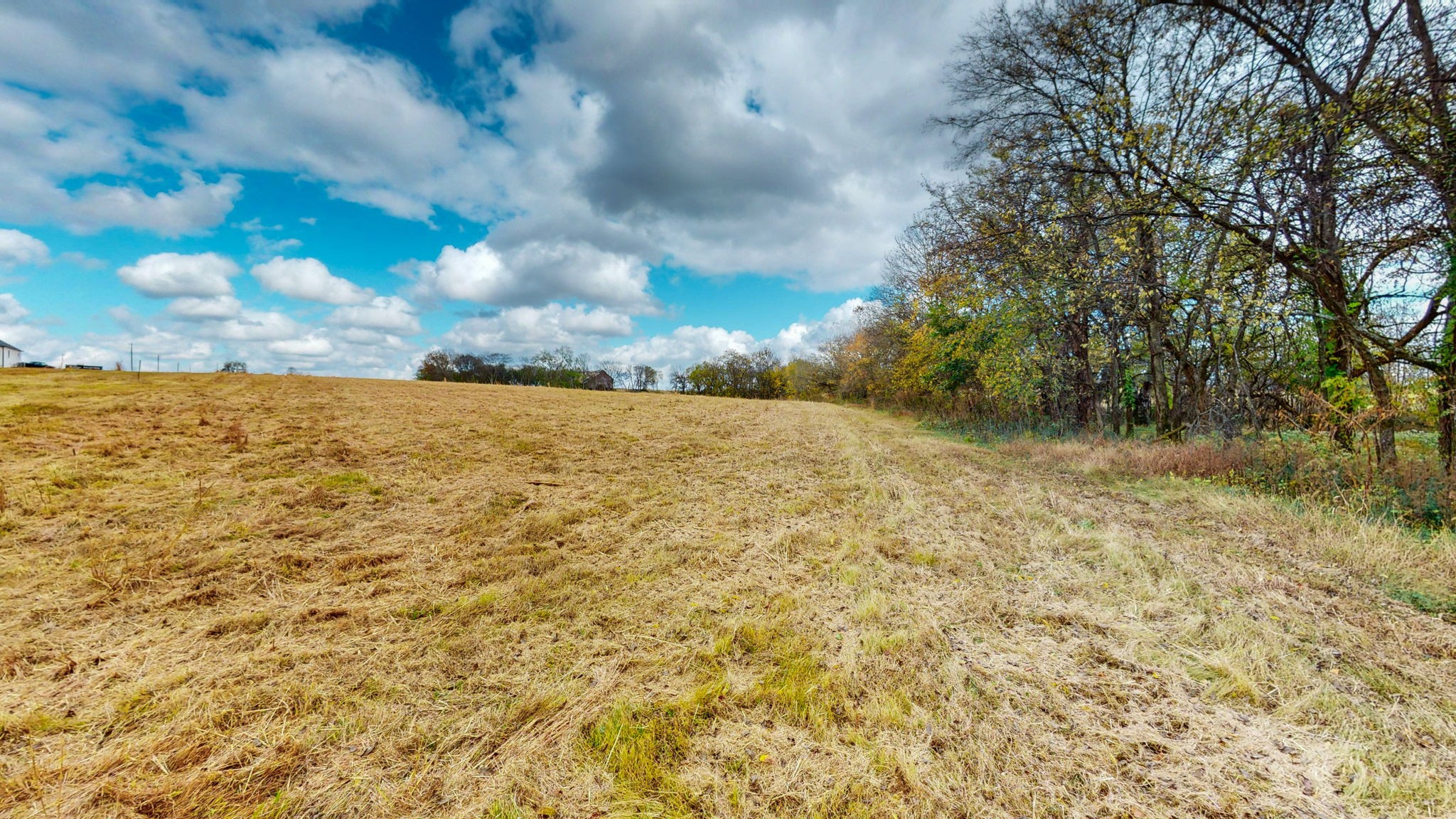2736 Hartsville Pike Property Photo 19