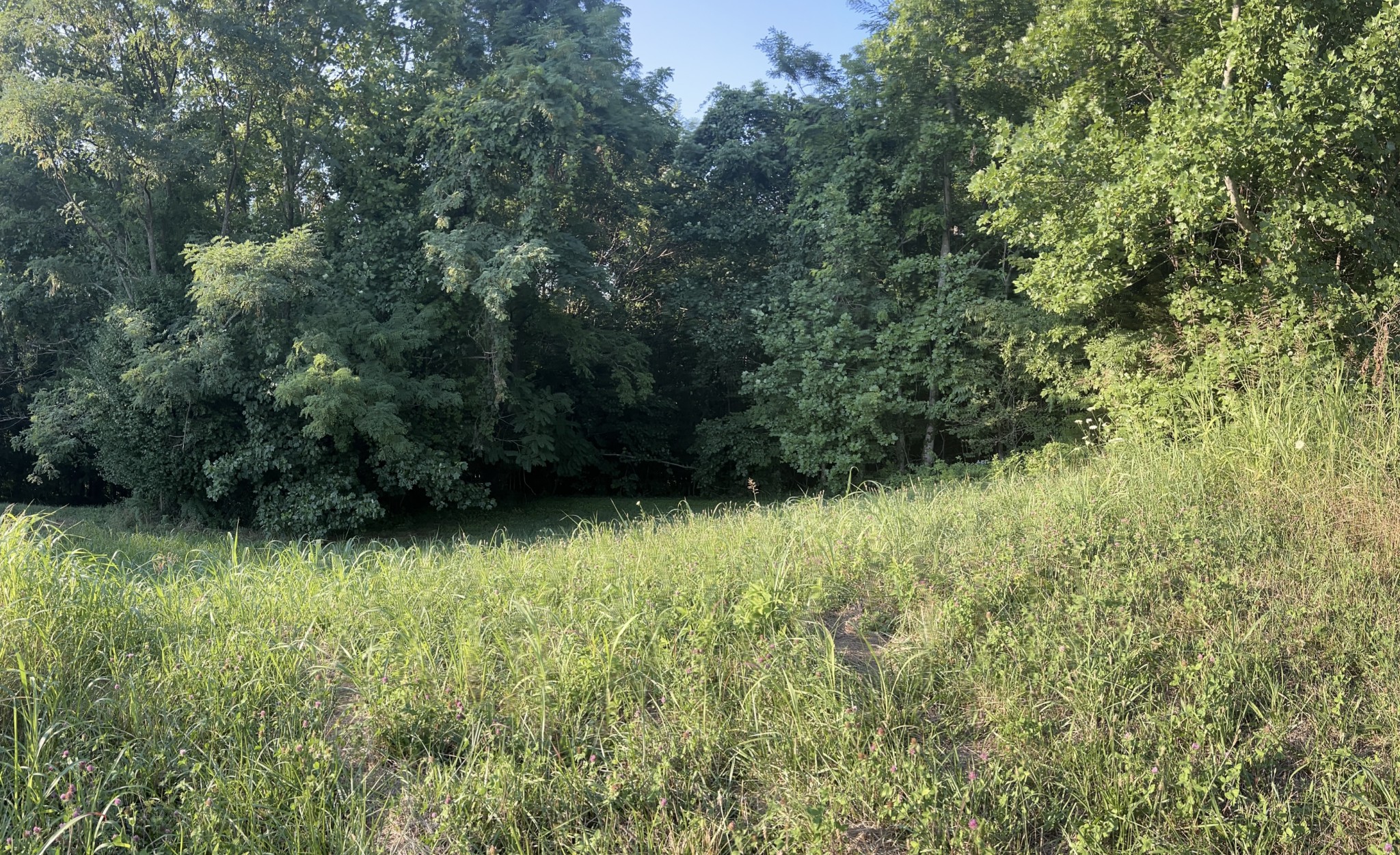 0 Amonette Circle Property Photo 25