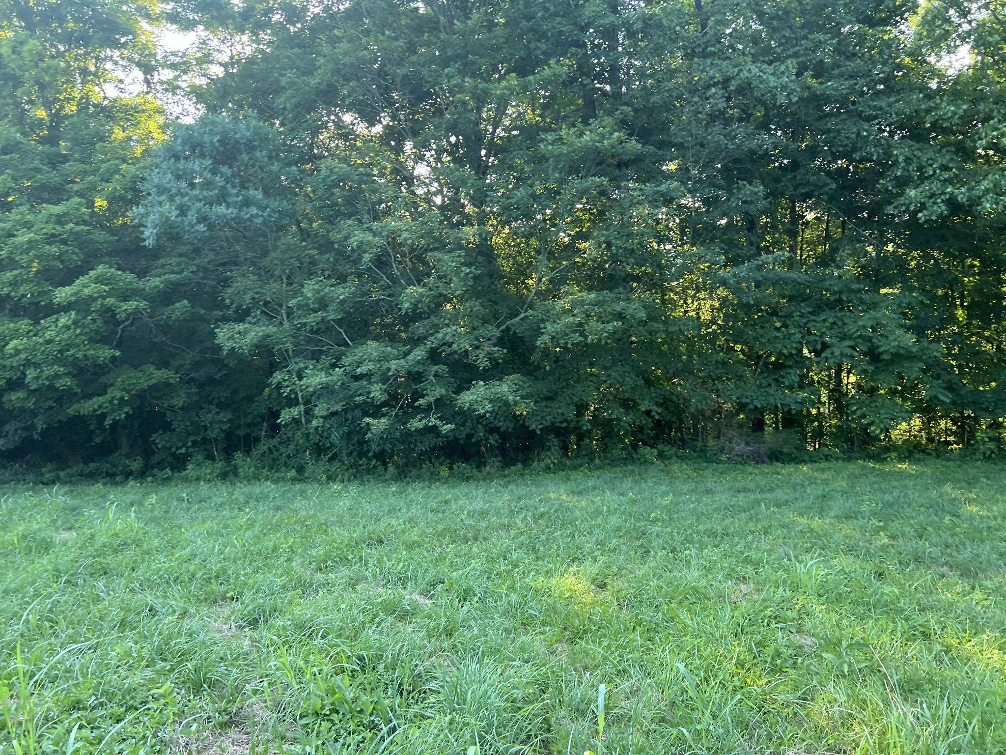 0 Amonette Circle Property Photo 26