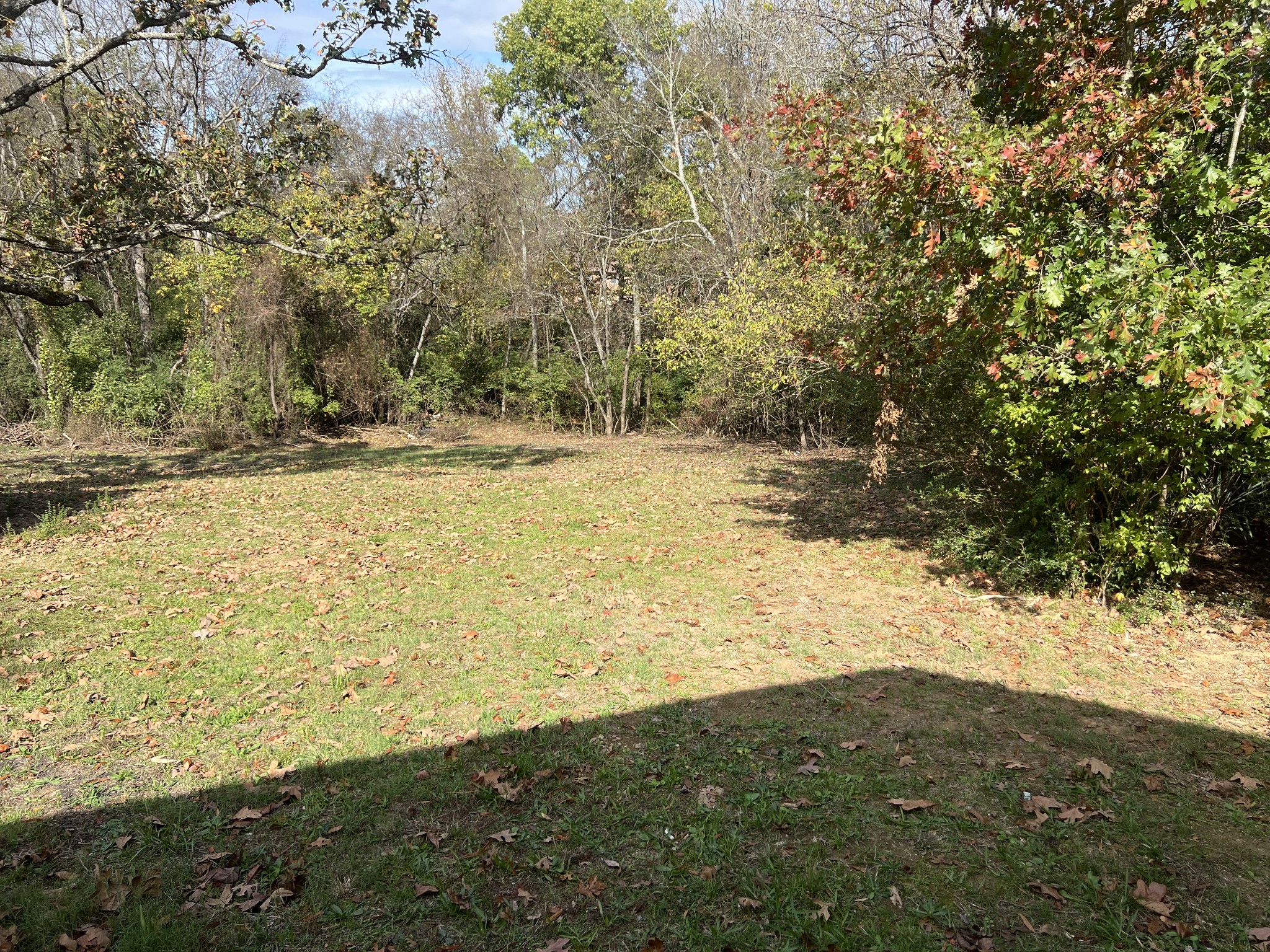 301 Rural Hill Ct Property Photo 4