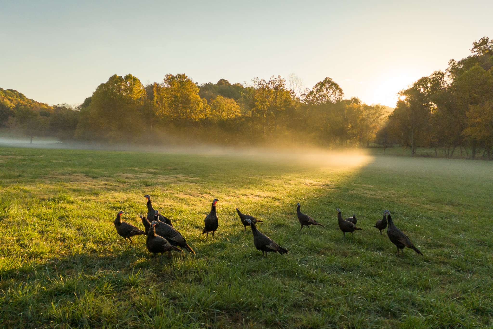 3899 Boston Theta Road Property Photo 15