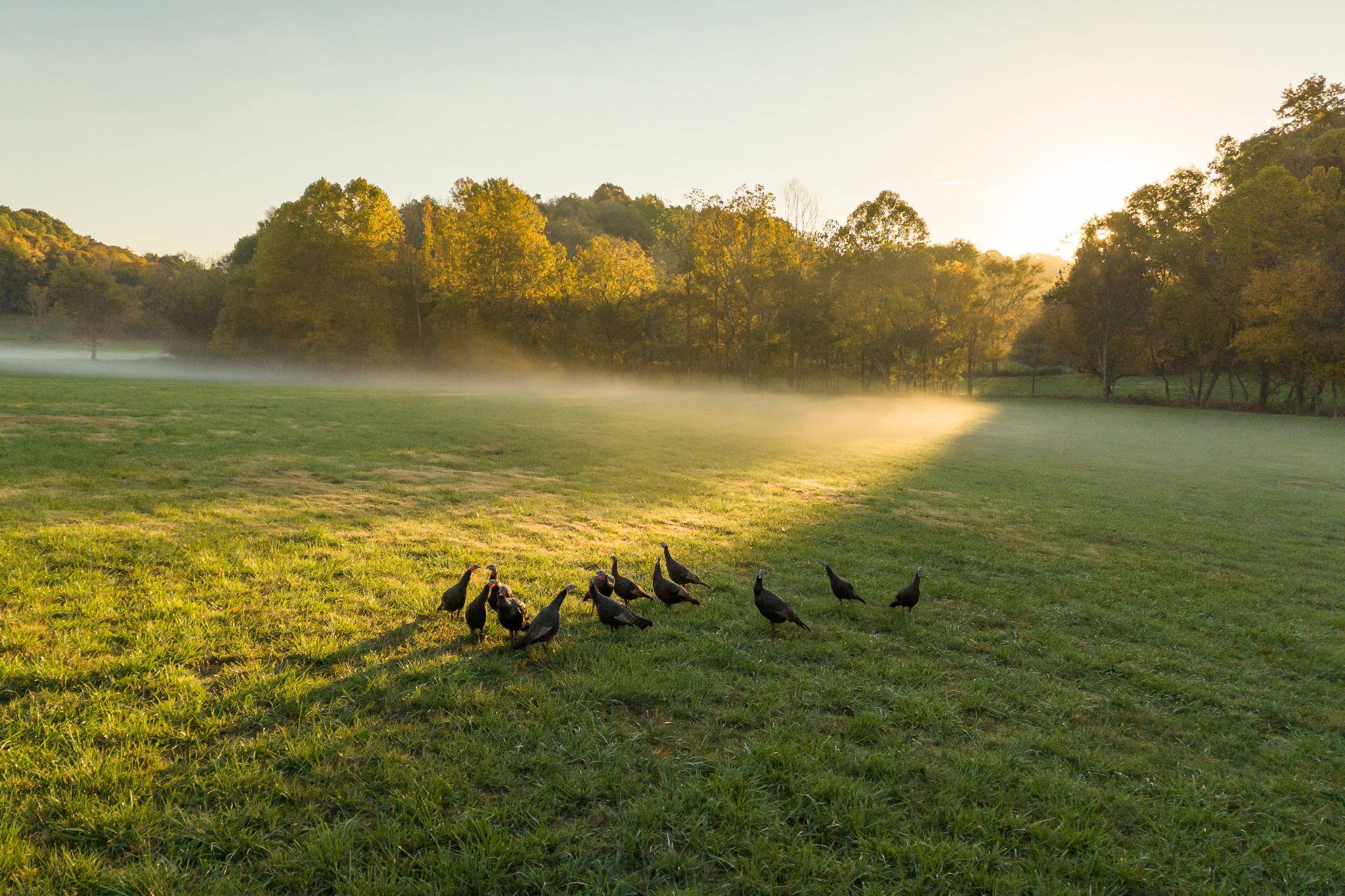 3899 Boston Theta Road Property Photo 16