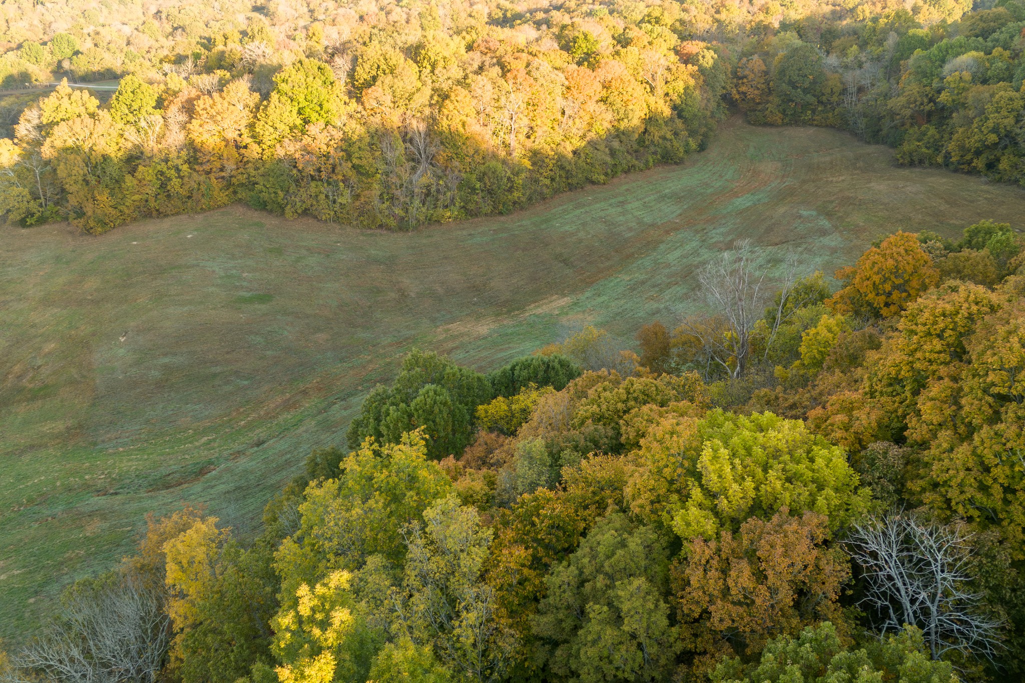 3899 Boston Theta Road Property Photo 17