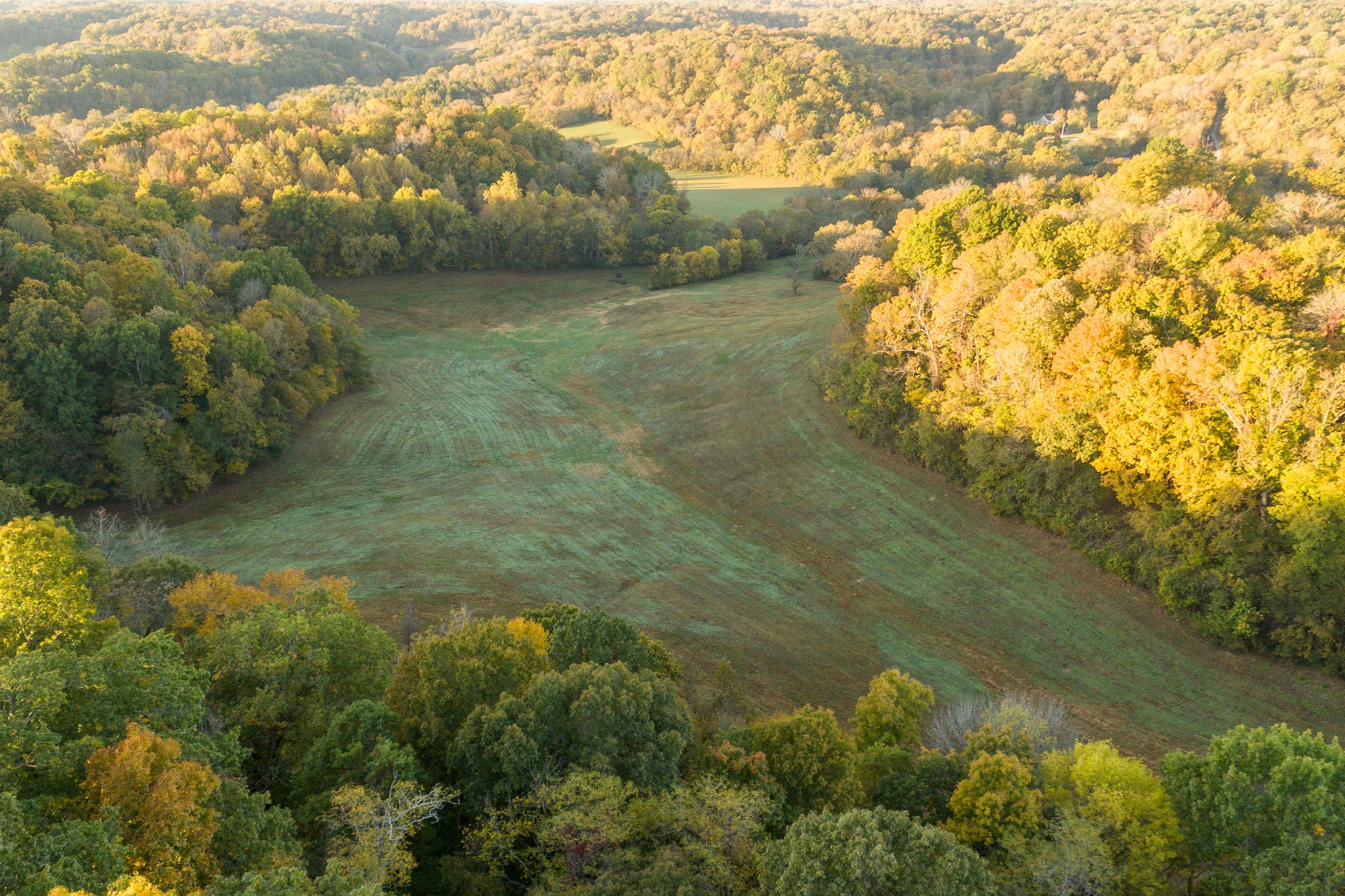 3899 Boston Theta Road Property Photo 18