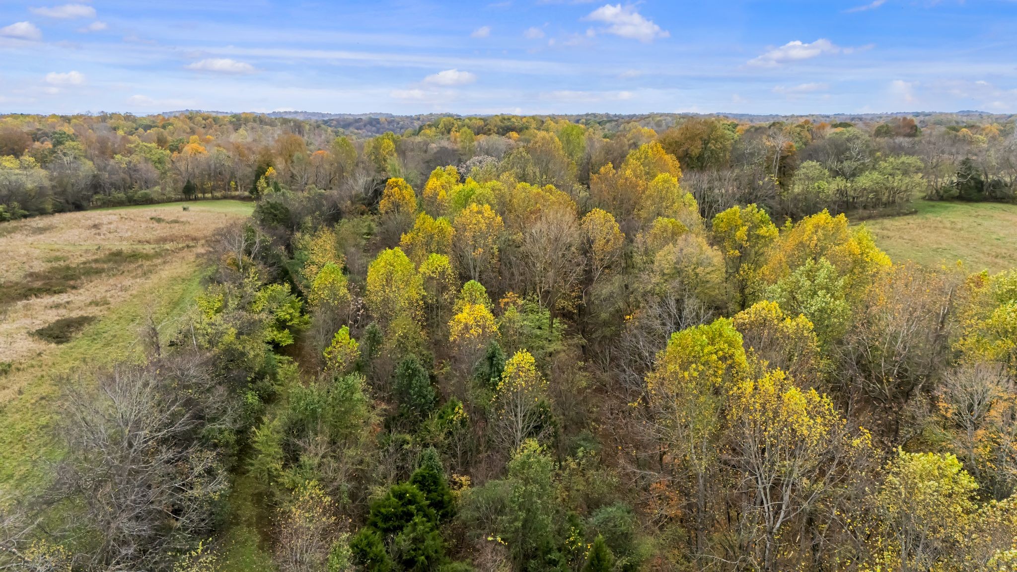 0 Ben Albert Rd Property Photo 9