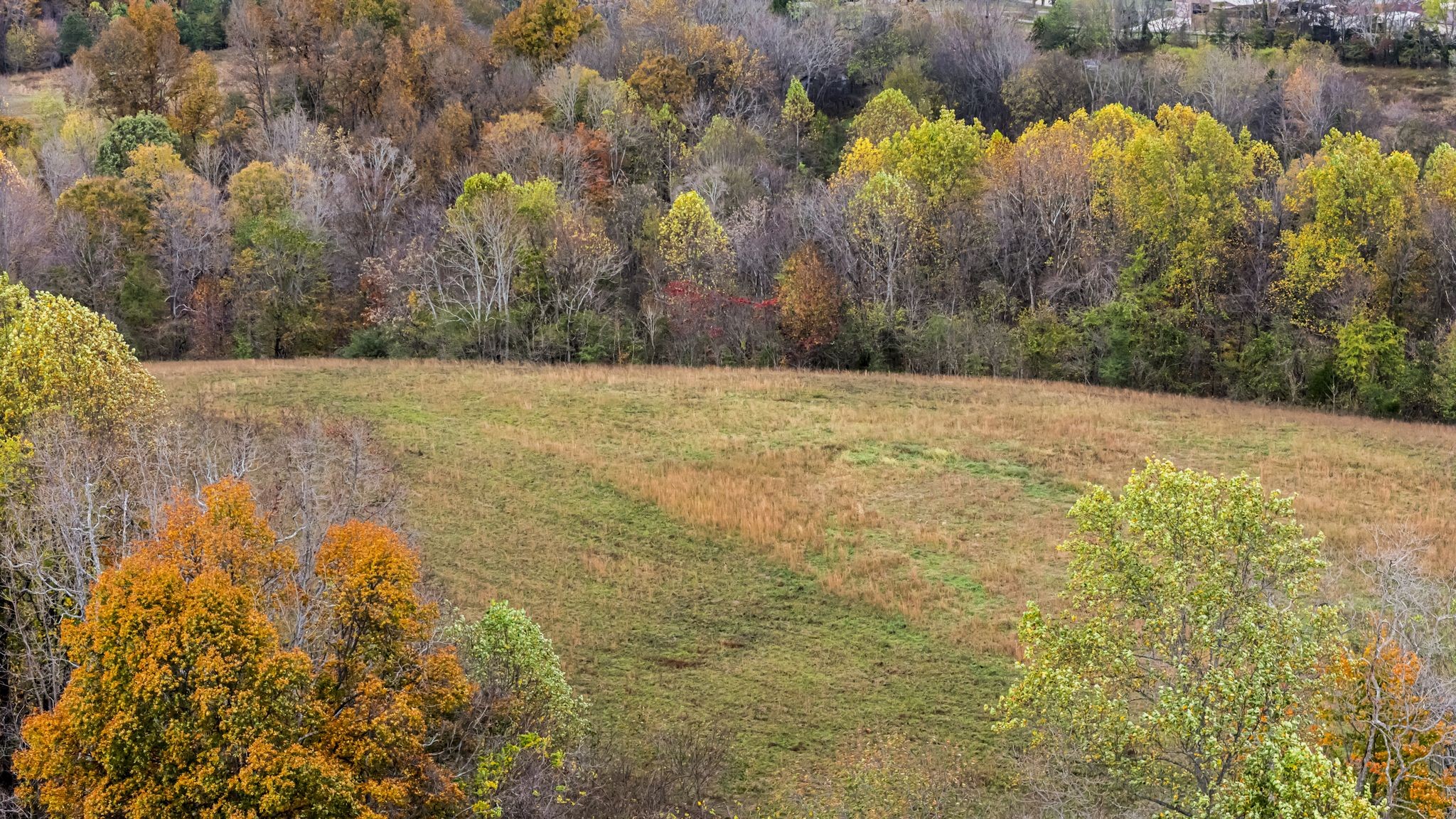 0 Ben Albert Rd Property Photo 16
