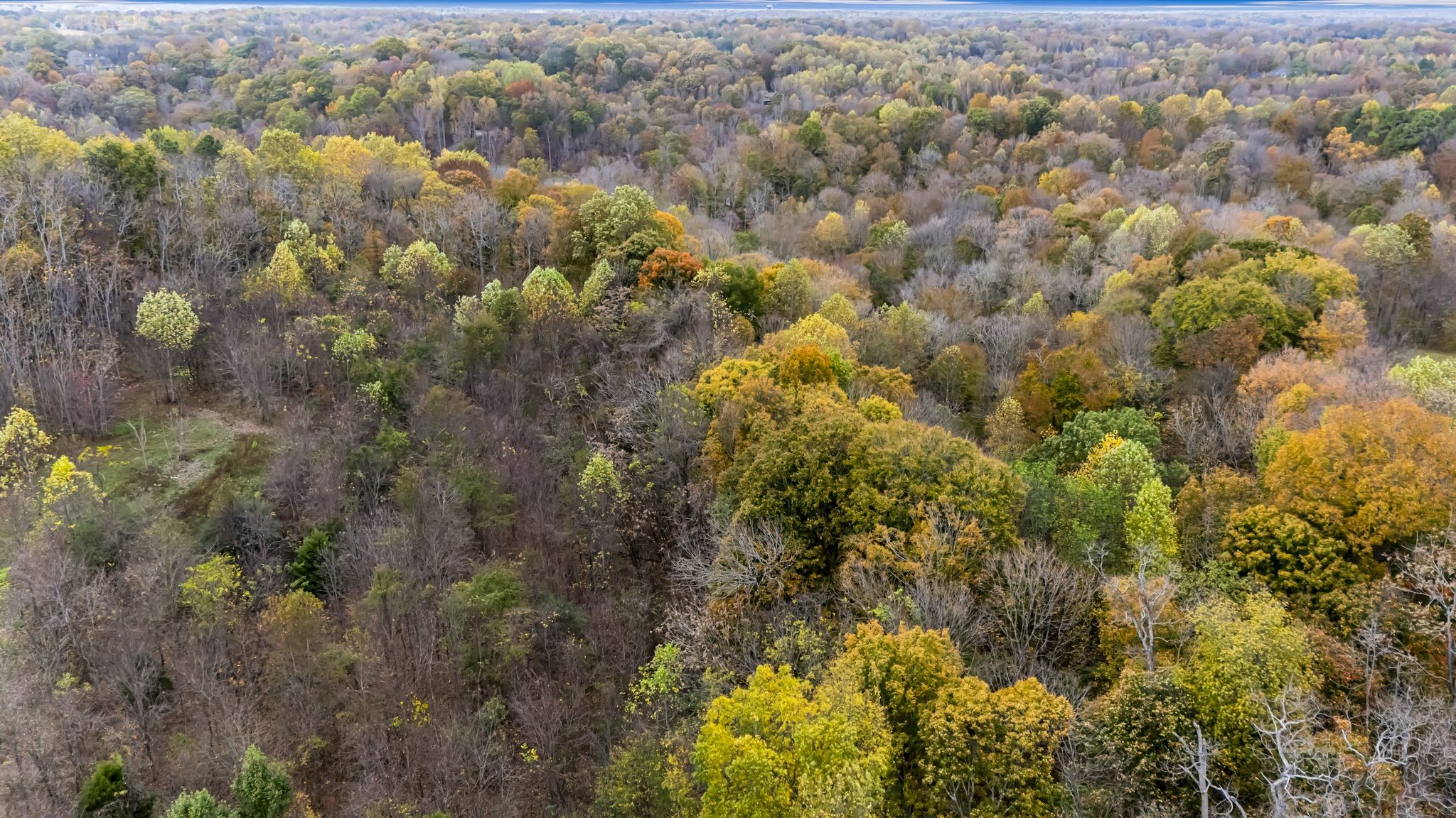0 Ben Albert Rd Property Photo 17