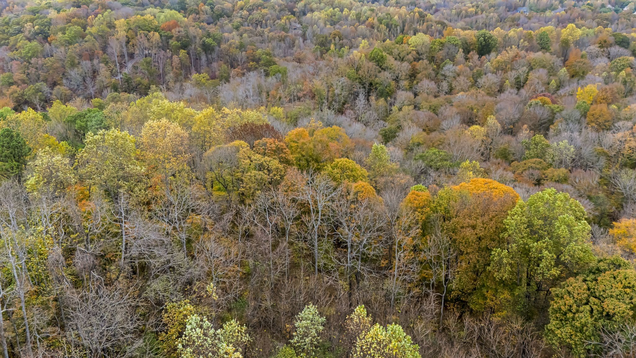 0 Ben Albert Rd Property Photo 19