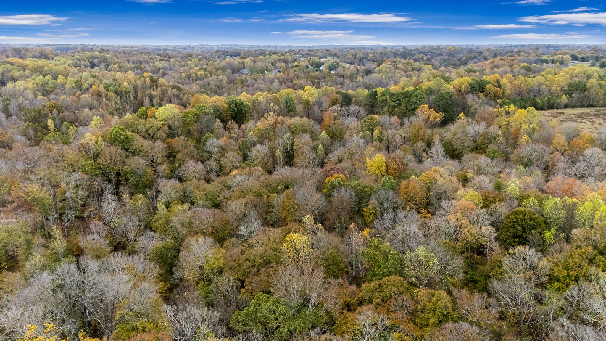 0 Ben Albert Rd Property Photo 20