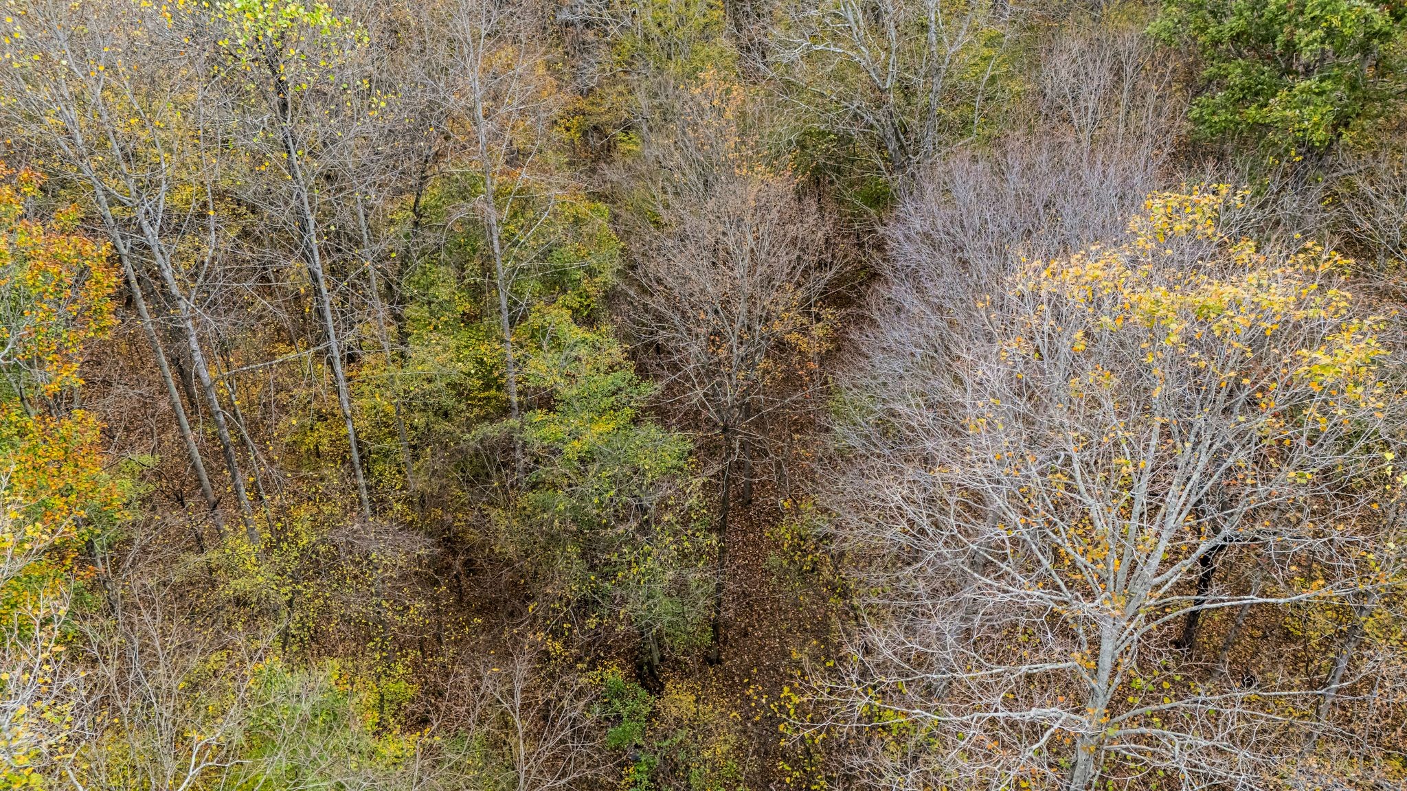 0 Ben Albert Rd Property Photo 22