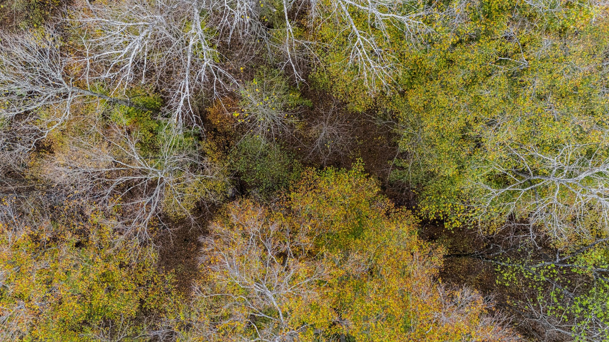 0 Ben Albert Rd Property Photo 23