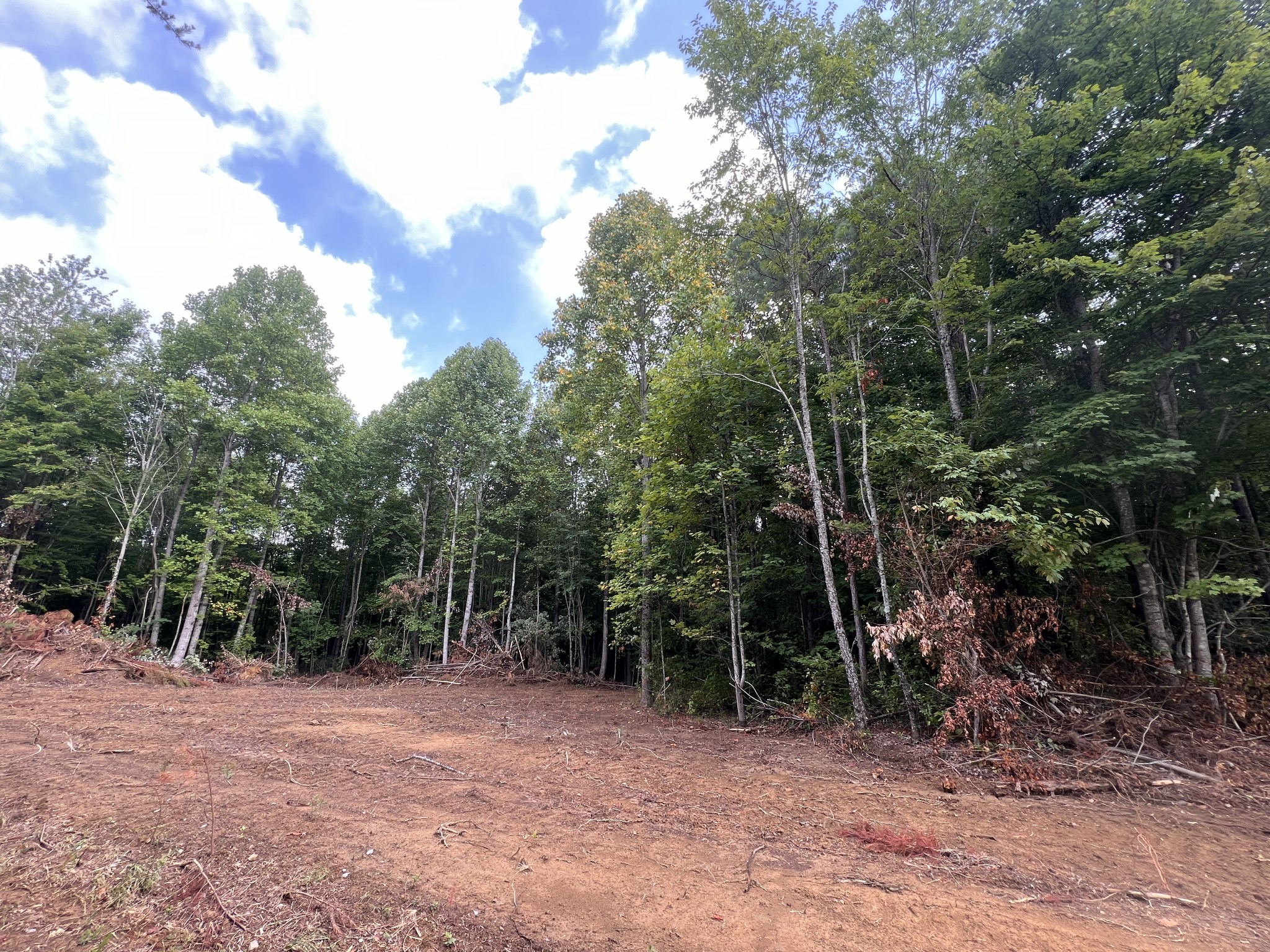 0 Douglas Lane Property Photo 3