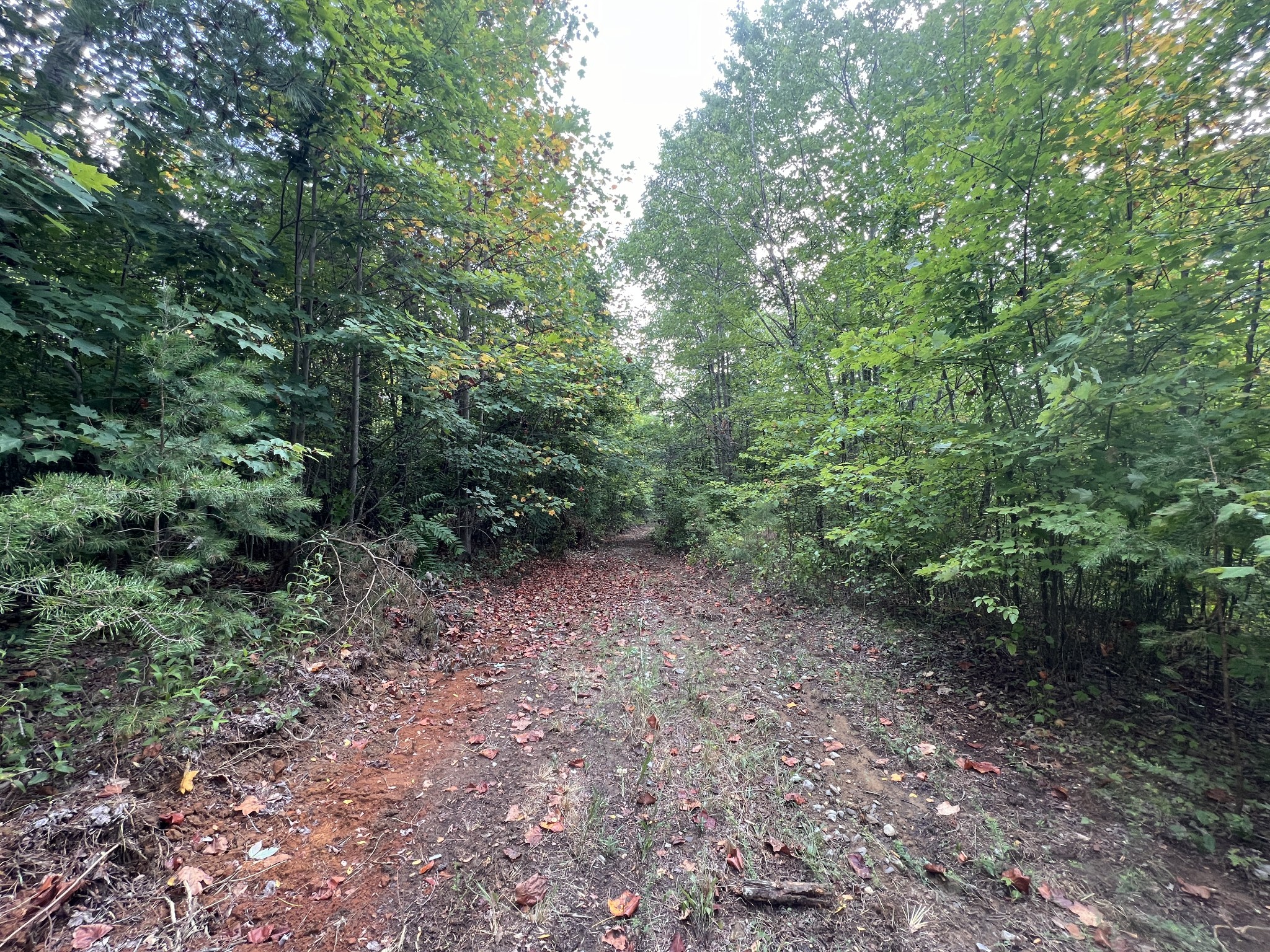 0 Douglas Lane Property Photo 4