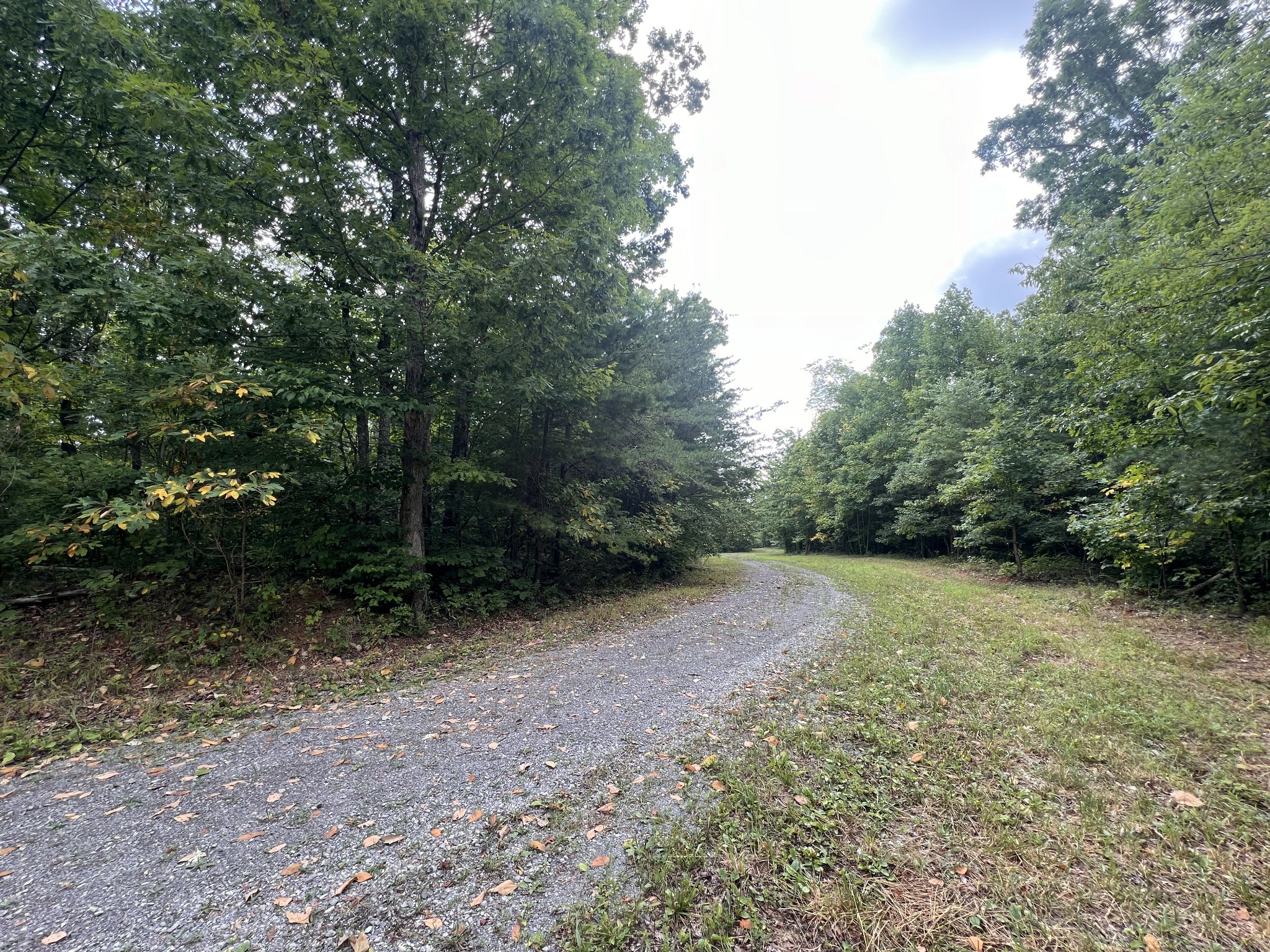 0 Douglas Lane Property Photo 12