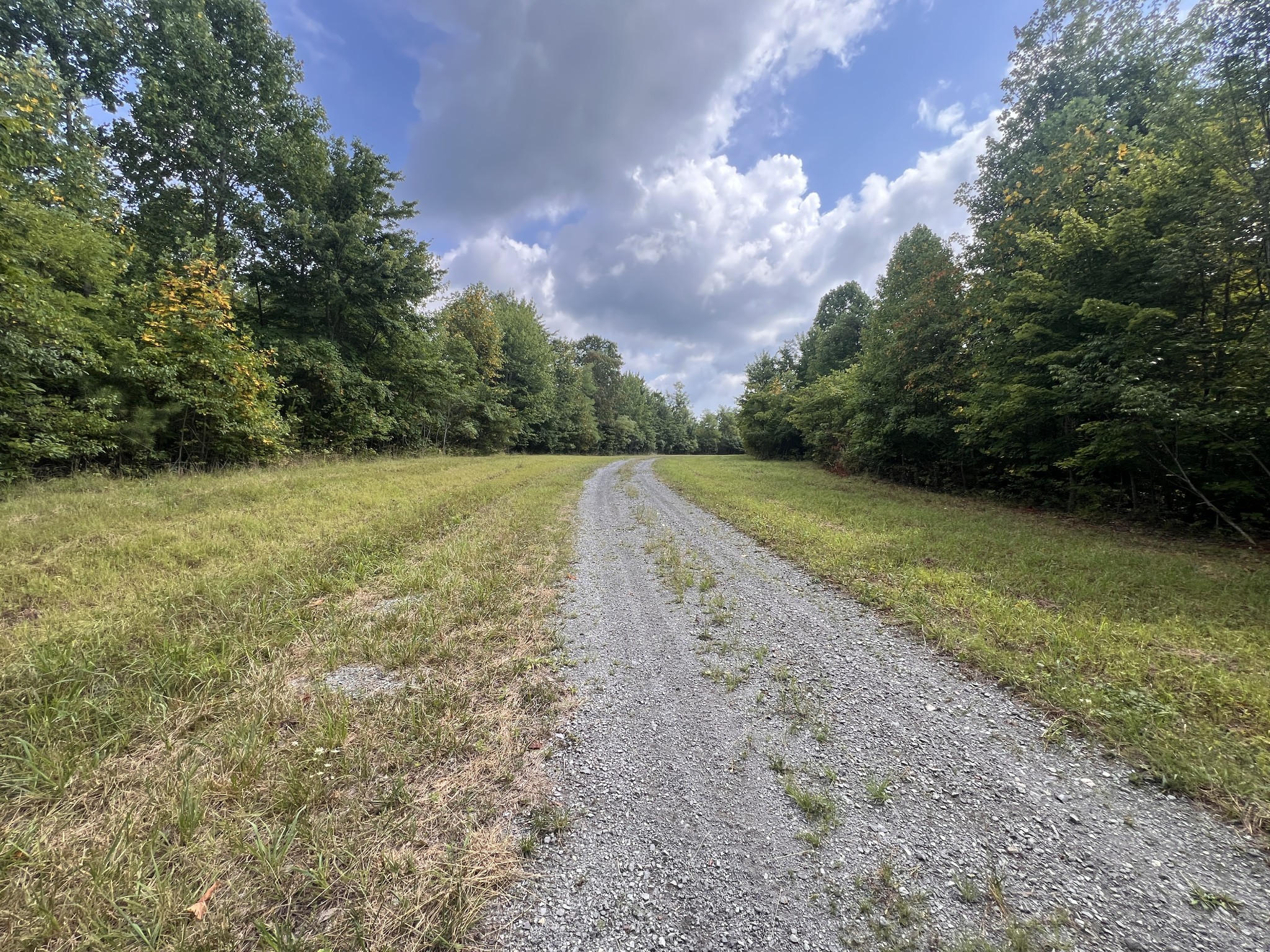0 Douglas Lane Property Photo 13