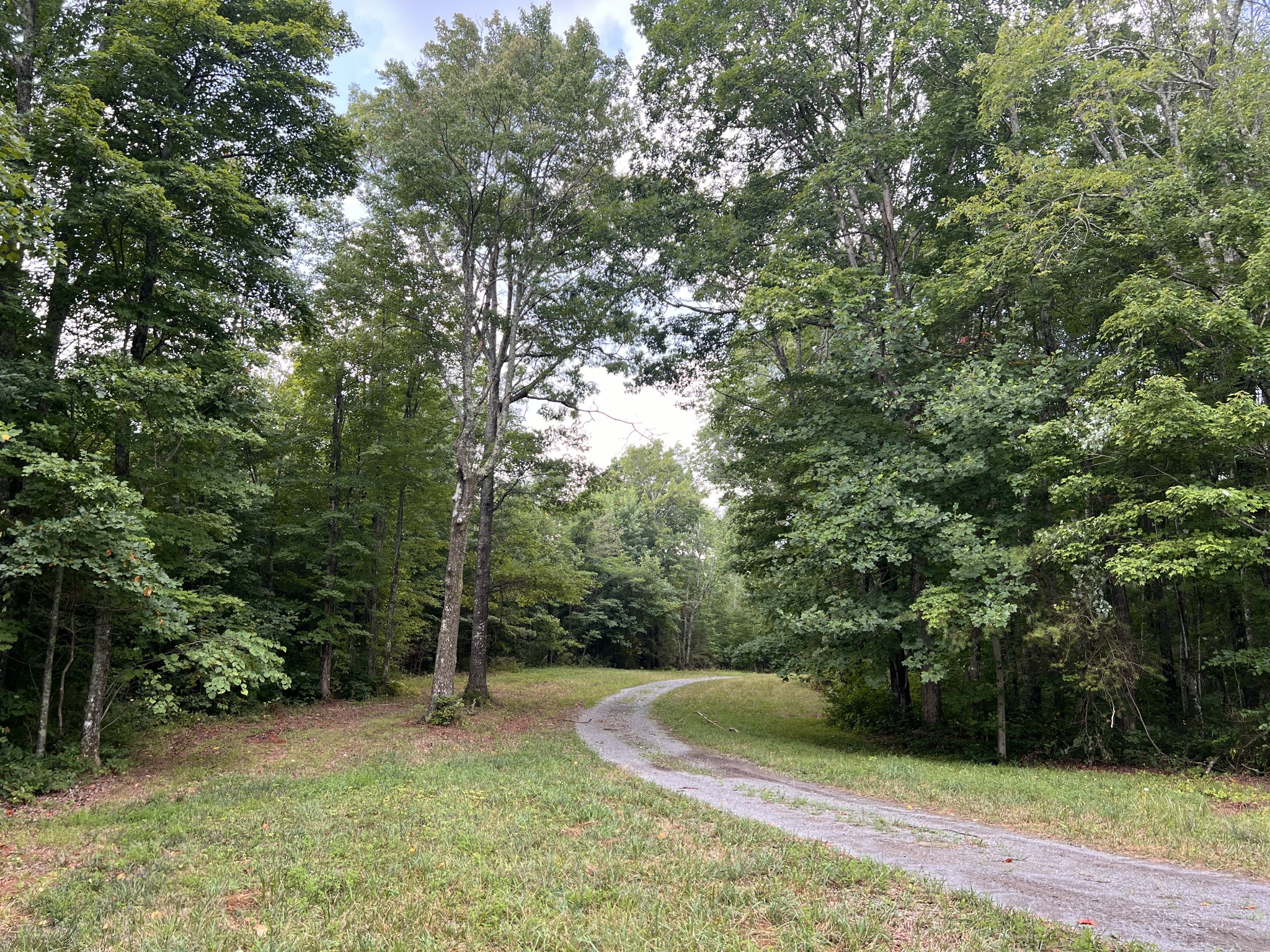 0 Douglas Lane Property Photo 14