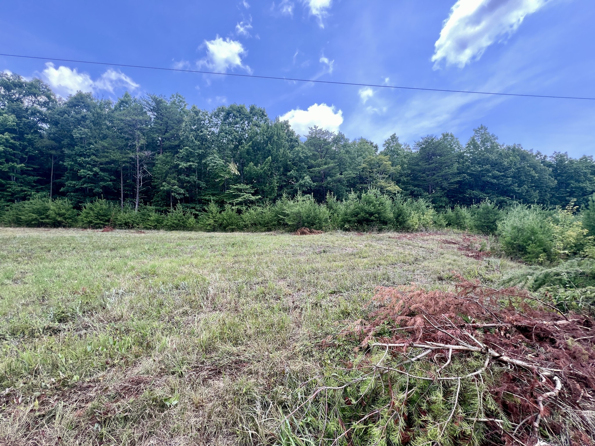 0 Douglas Lane Property Photo 49
