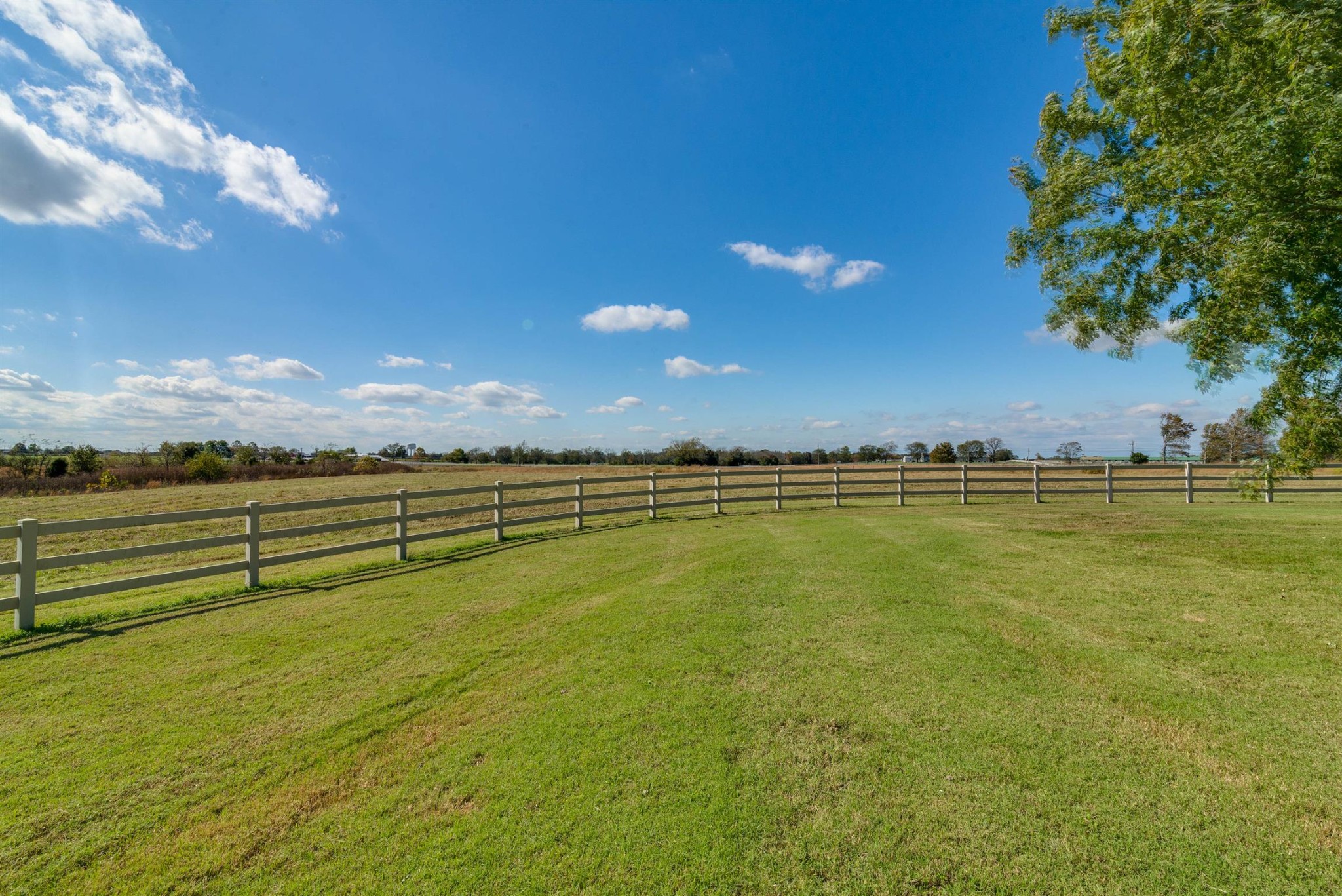 3124 Hwy 231 North Property Photo 5
