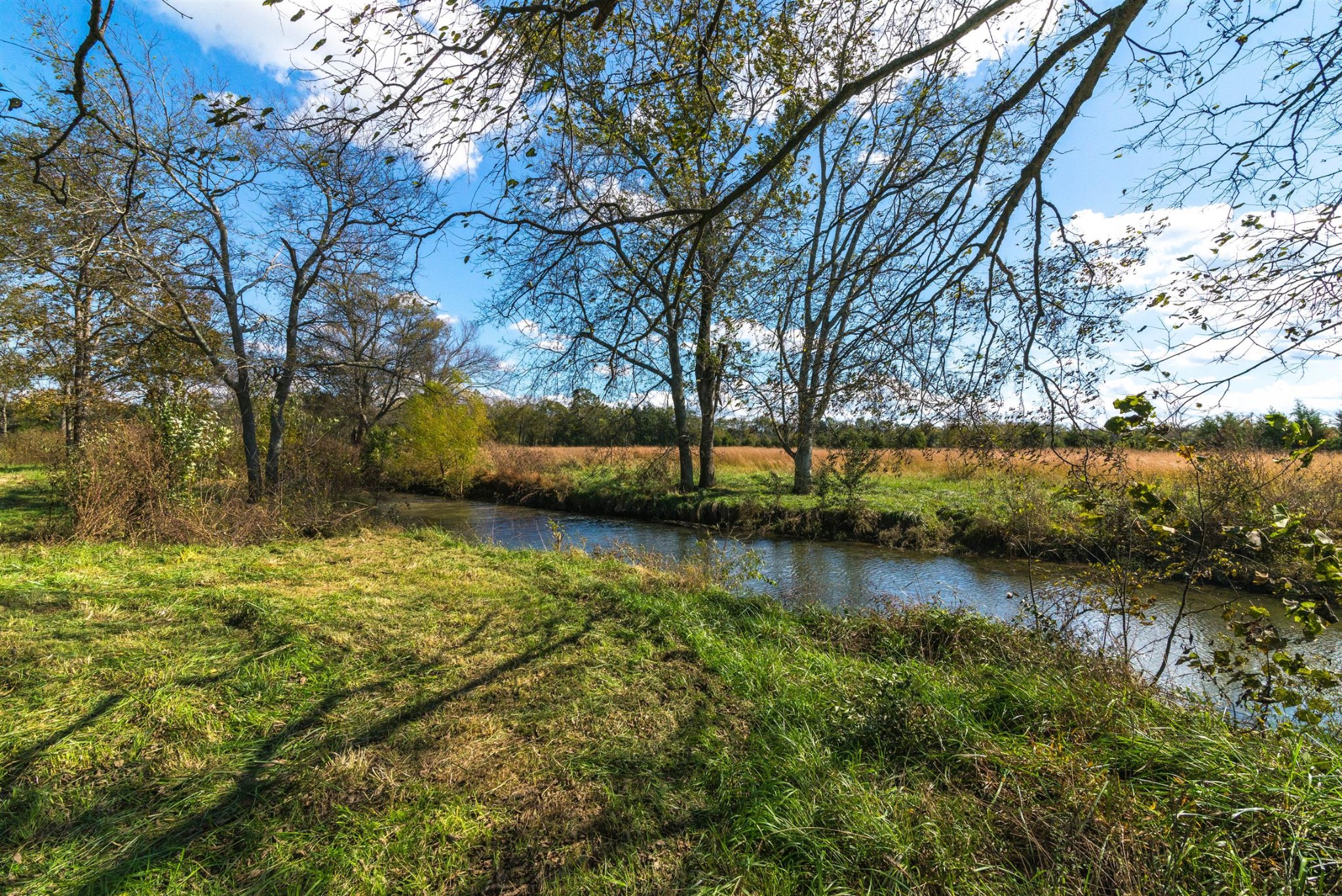 3124 Hwy 231 North Property Photo 25