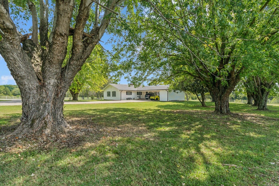 3124 Hwy 231 North Property Photo 26