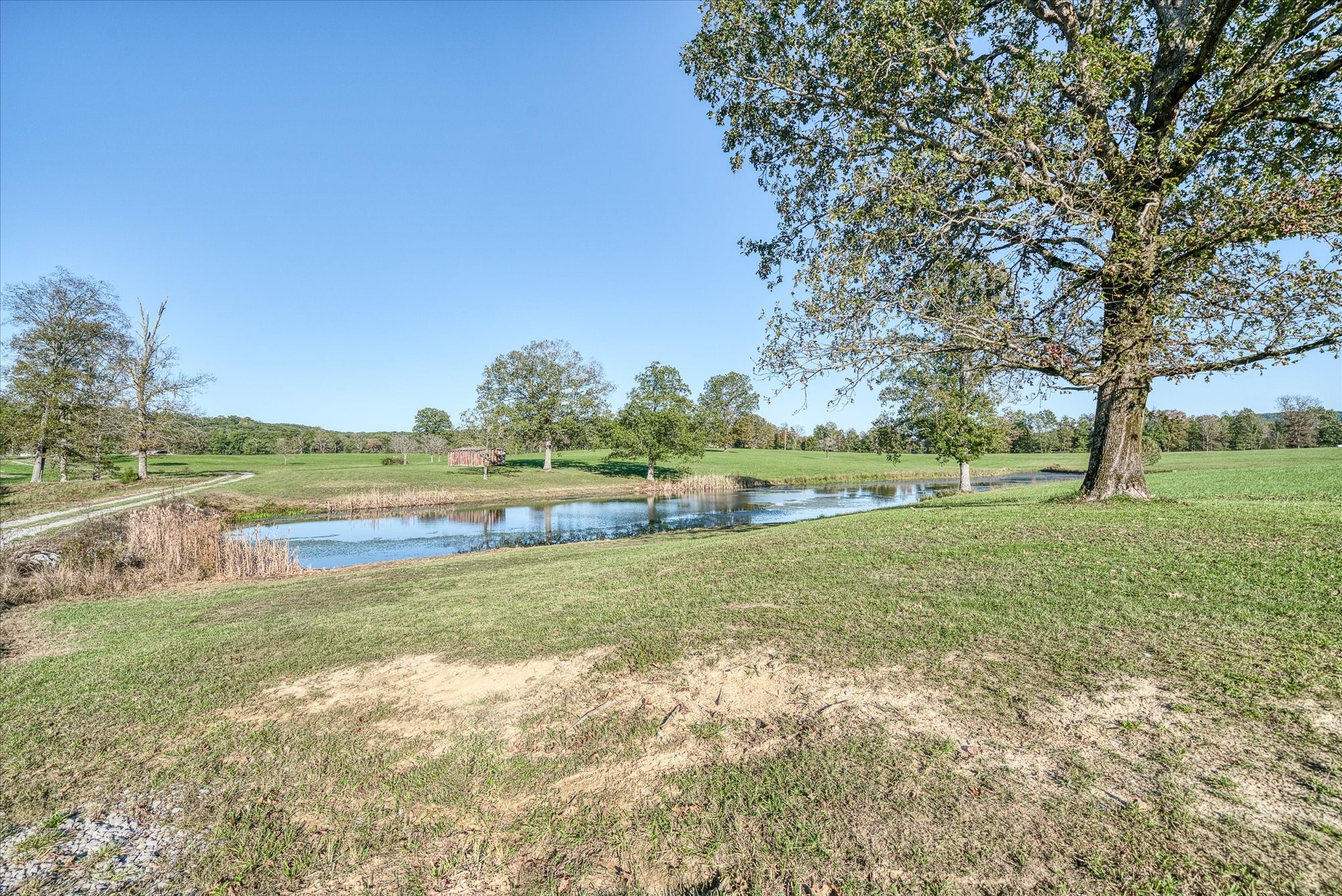 308 Huse Watson Rd Property Photo 32